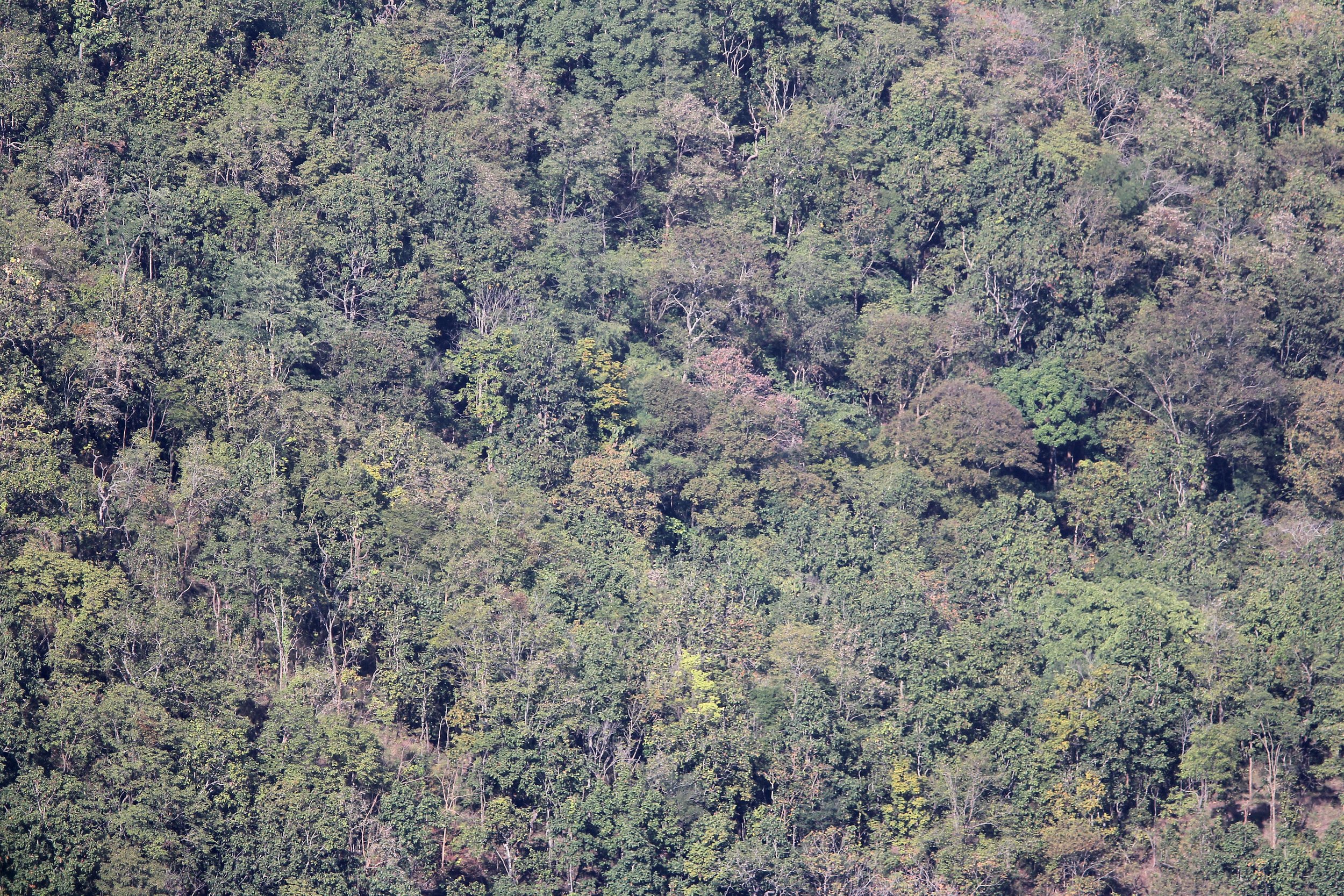 2018 Wat Phra Putabat Lampang Road Trip (21).JPG