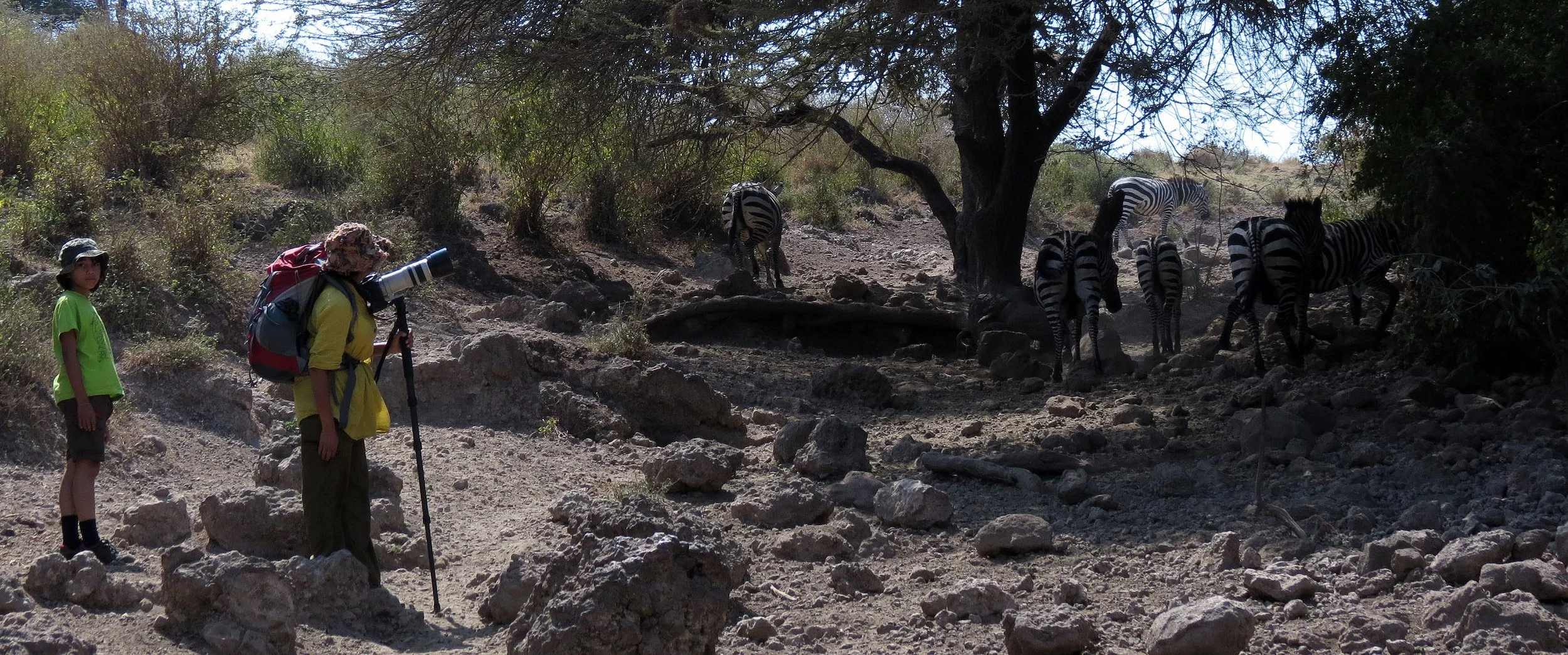 NECH SAR NATIONAL PARK ETHIOPIA (4).JPG