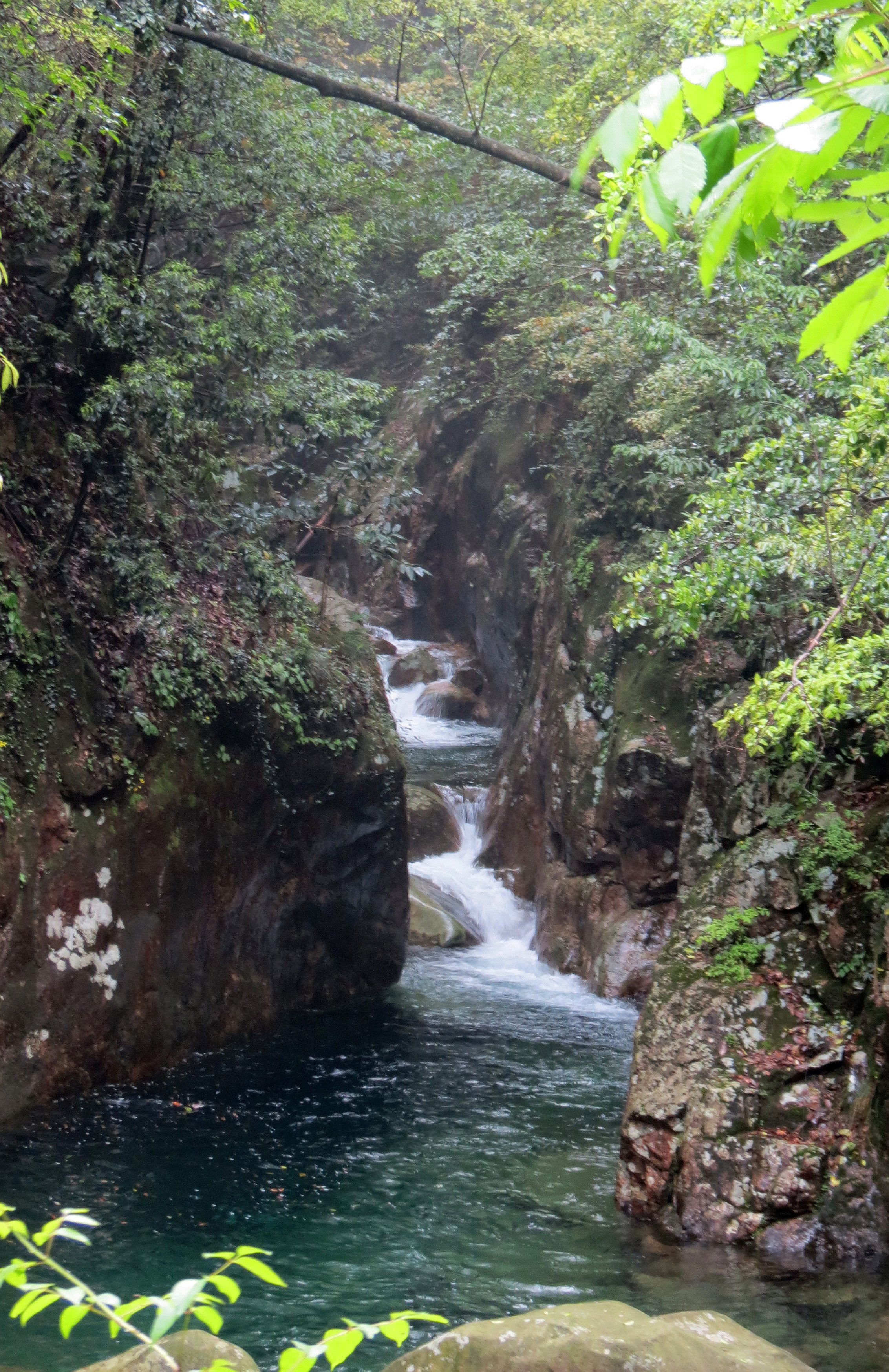 GUNIUJIANG NATURE RESERVE - ANHUI PROVINCE CHINA (64).JPG