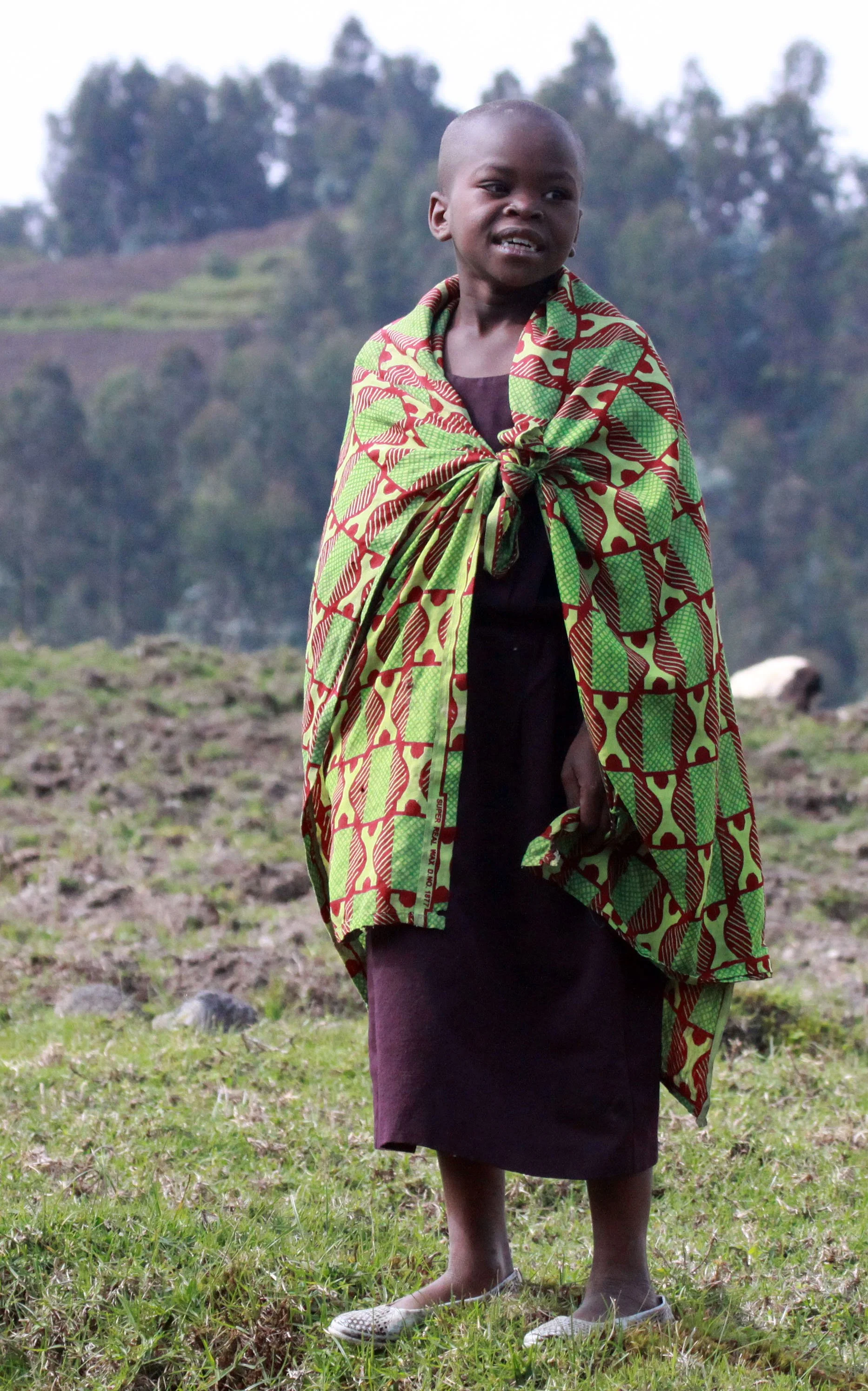 PARC DU VULCANS RWANDA (70).JPG