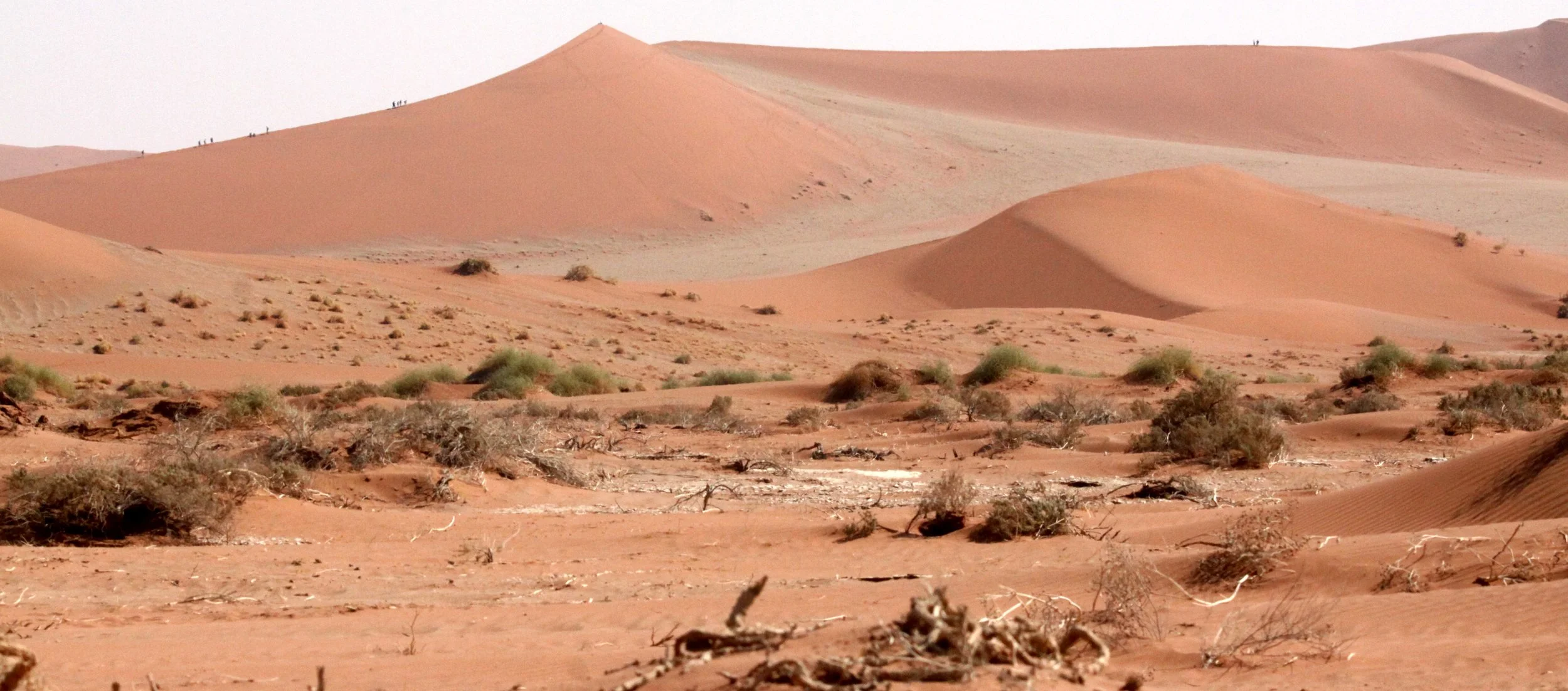 SOSSUSVLEI, NAMIB NAUKLUFT NATIONAL PARK, NAMIBIA (58).JPG