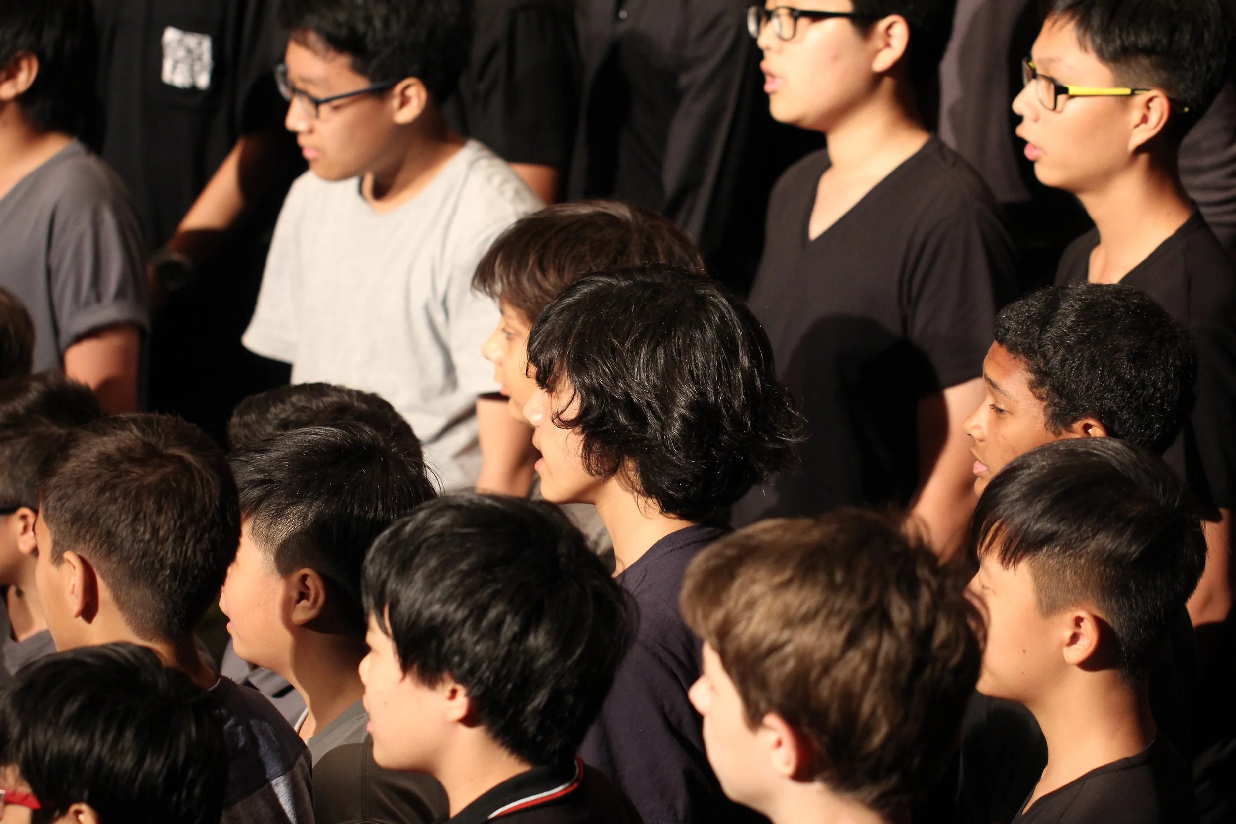 2015 Spring Concert for Cokie at ISB (15).JPG