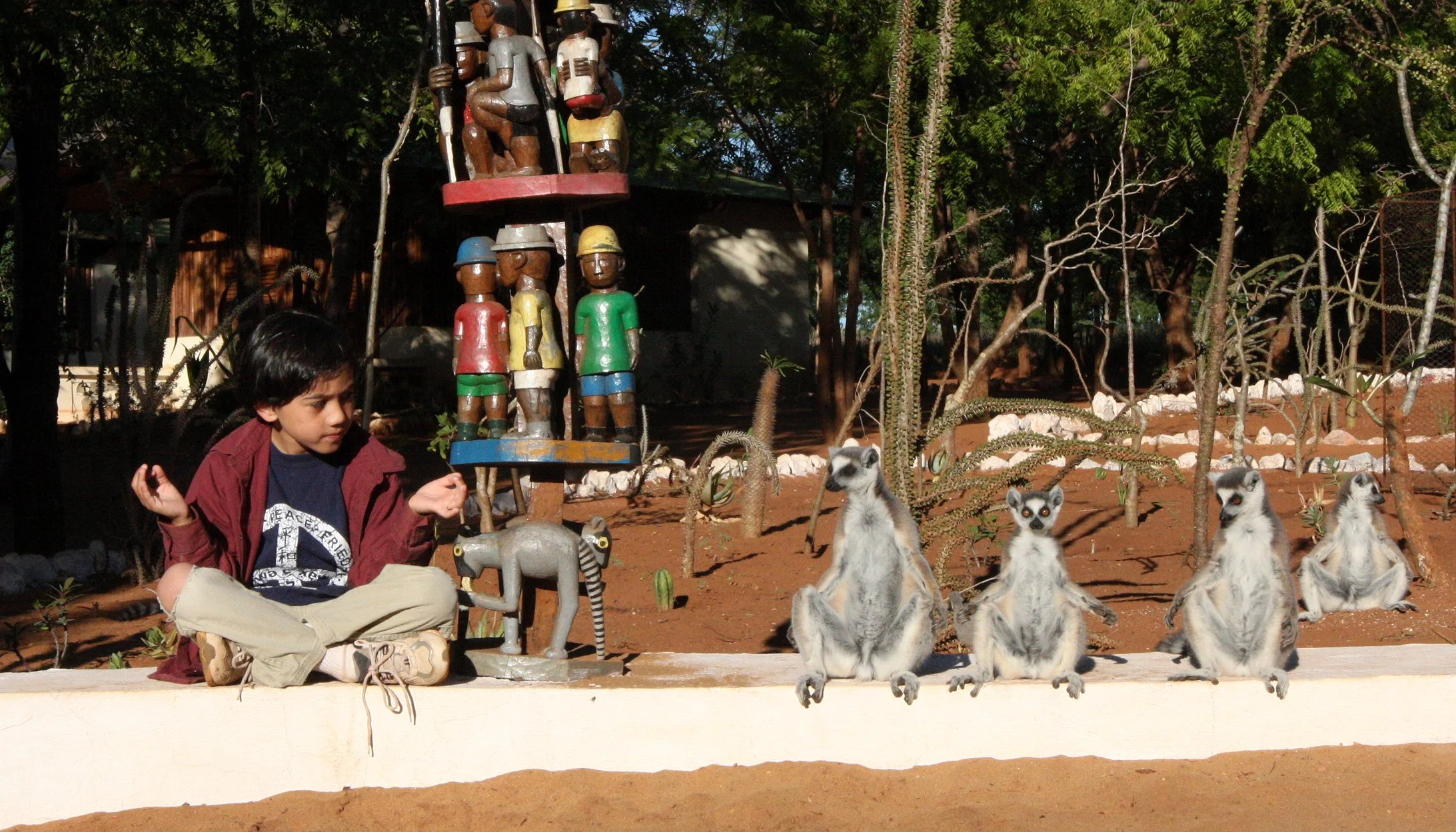 LEMURIDAE - Lemur catta - RING-TAILED LEMUR - BERENTY RESERVE MADAGASCAR (99).JPG