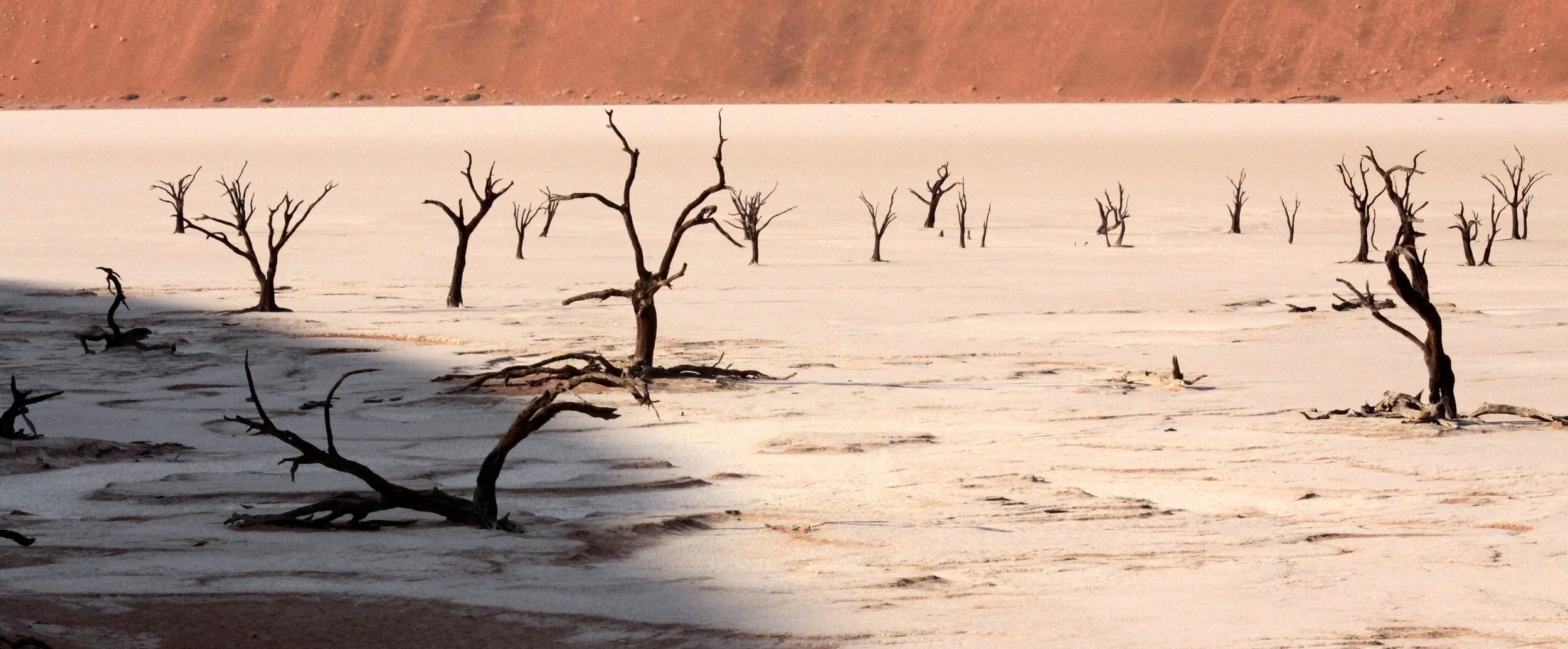 SOSSUSVLEI, NAMIB NAUKLUFT NATIONAL PARK, NAMIBIA - DEAD VLEI (3).JPG