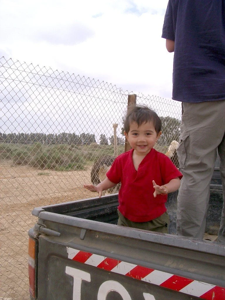 SHAUMARI SAFARI (1).JPG