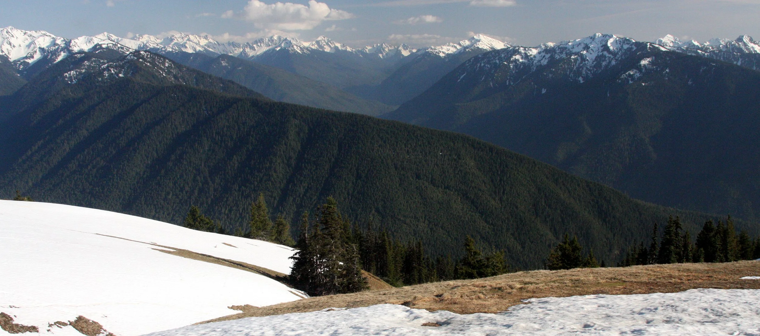 HURRICANE RIDGE - VIEW FROM - SPRING 2009.JPG