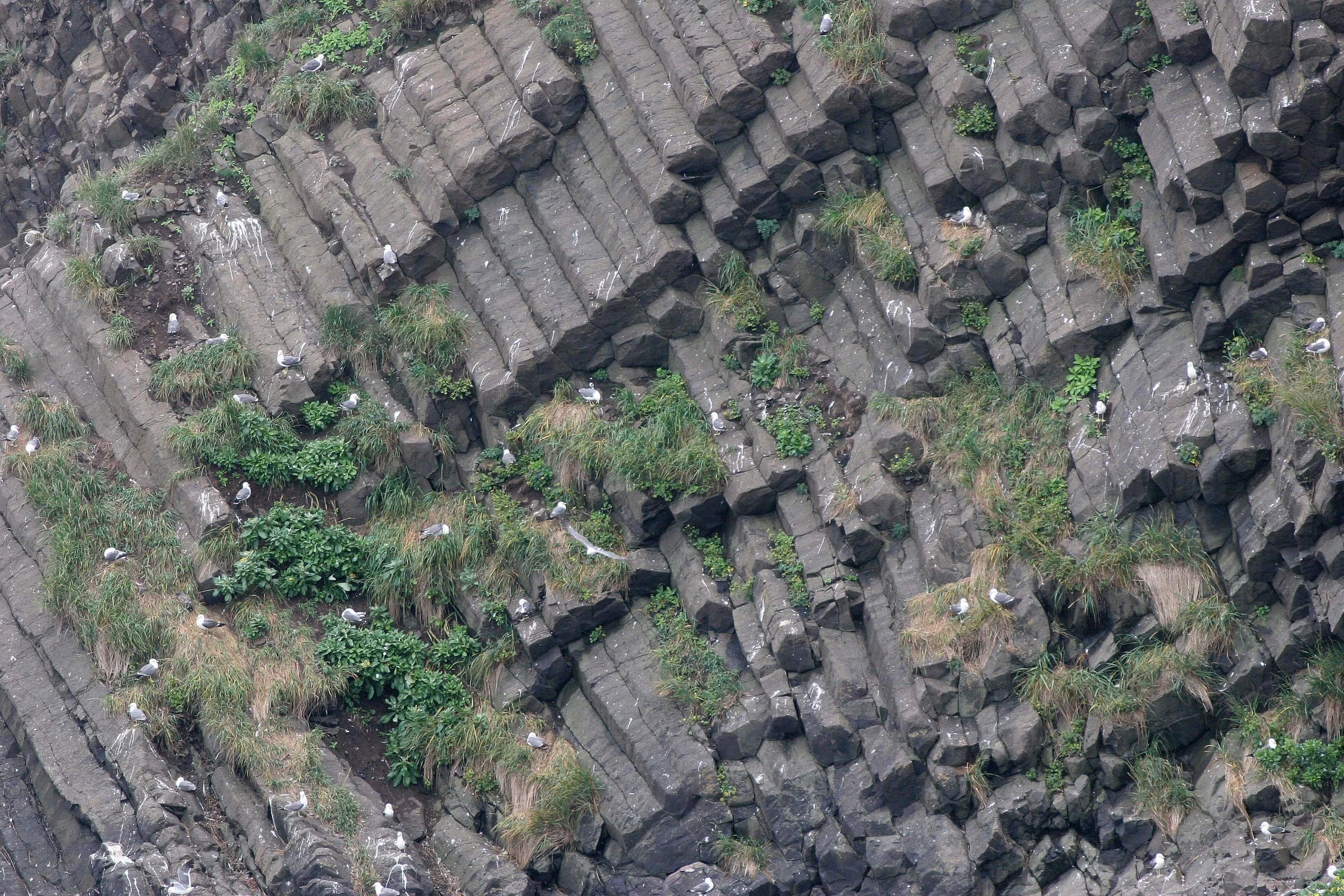 KURIL ISLANDS - VIEWS LANDSCAPES AND GEOLOGY (164).jpg