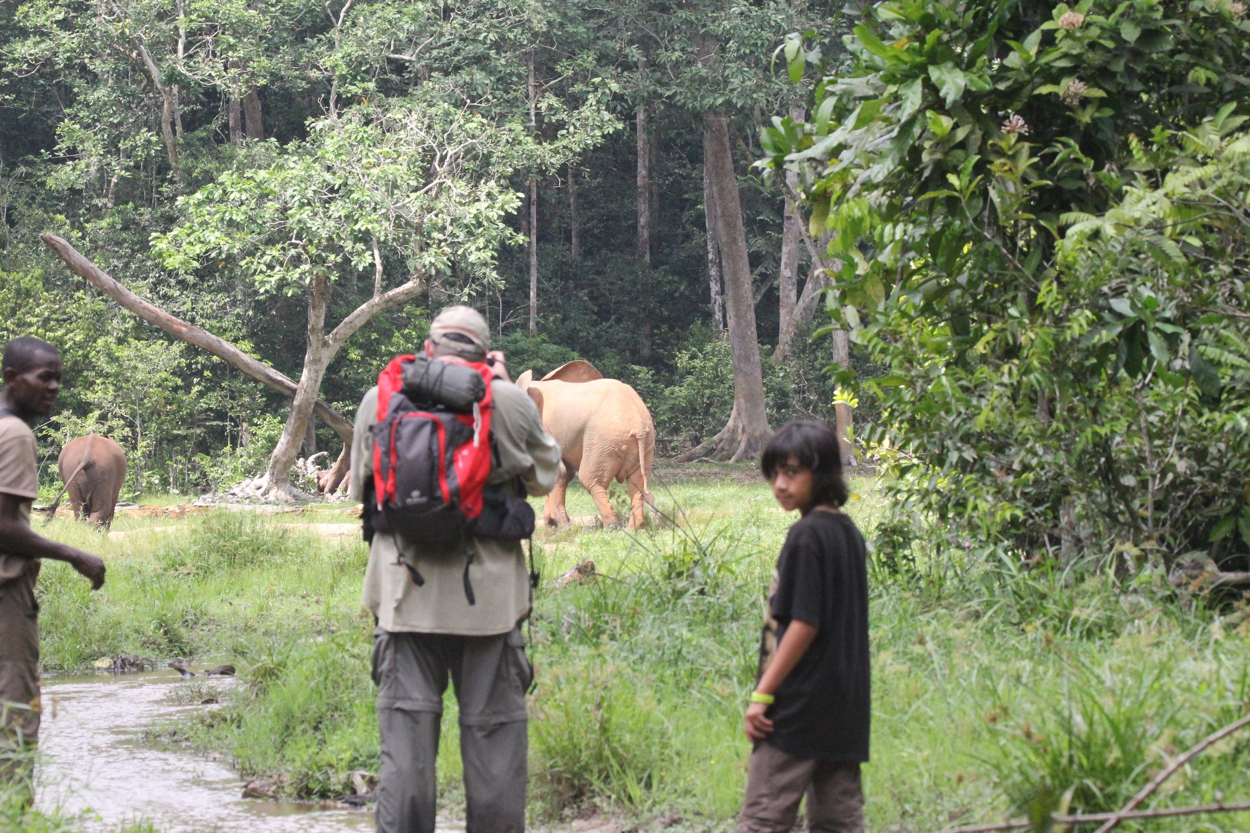DZANGA NDOKI NATIONAL PARK CENTRAL AFRICAN REPUBLIC (18).JPG