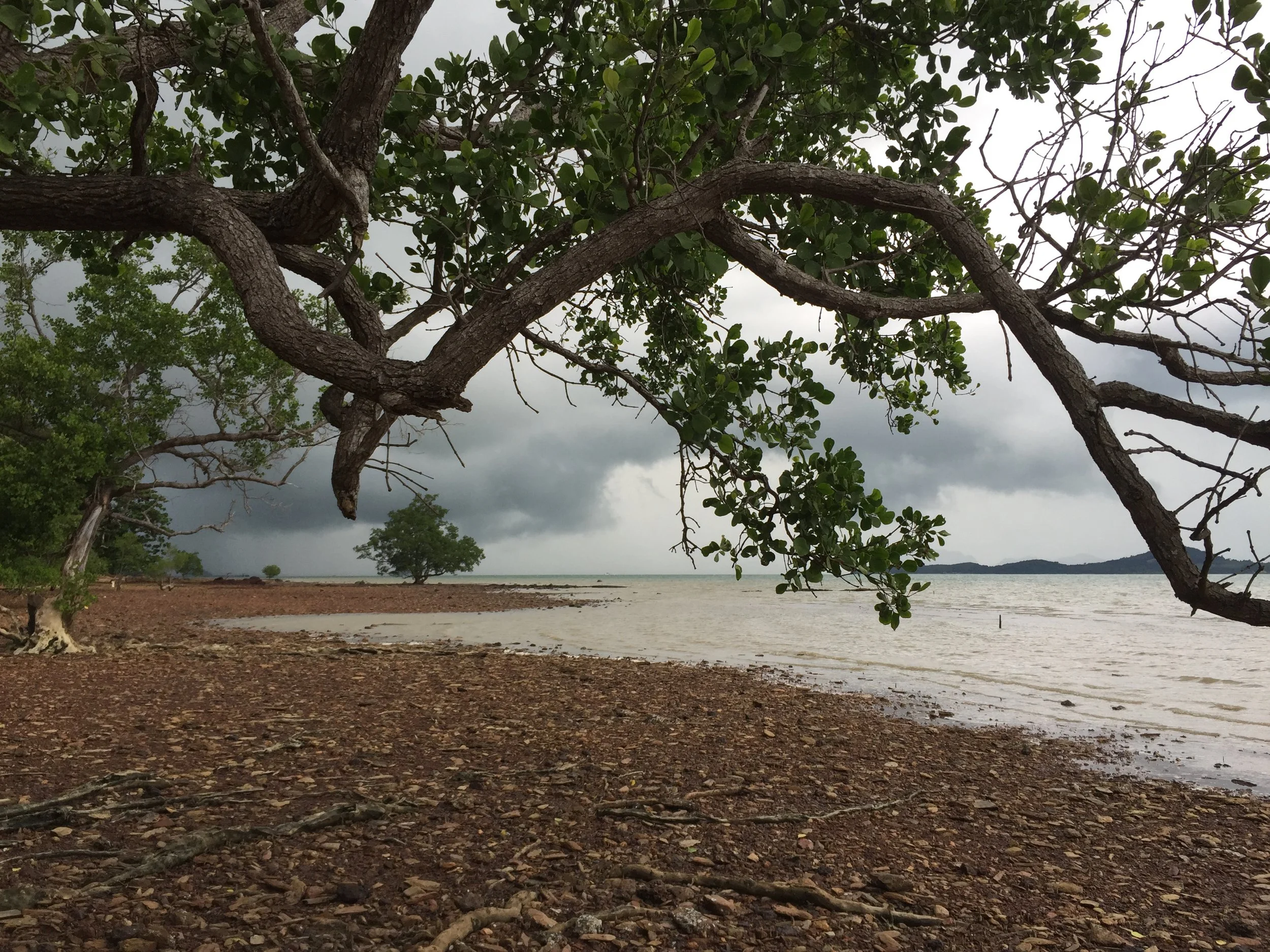 2015 Koh Lanta Garden & Nature (215).JPG