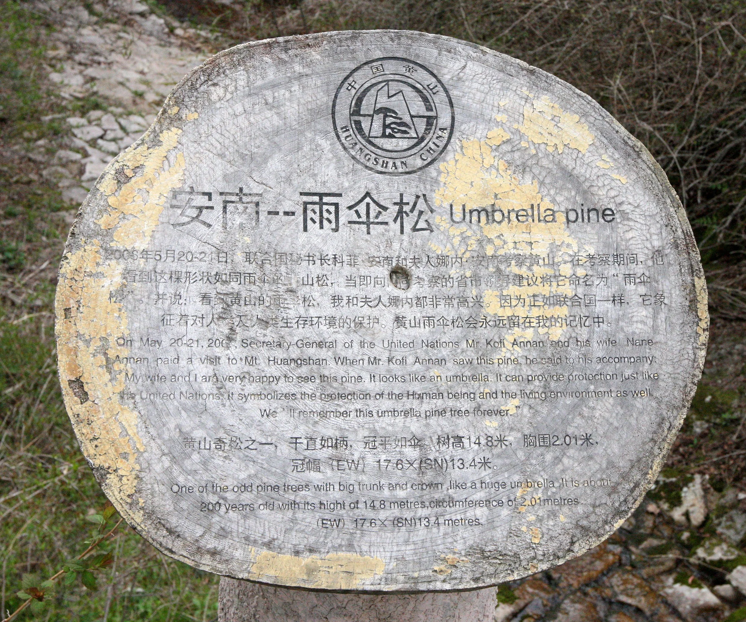 HUANGSHAN NATIONAL PARK ANHUI PROVINCE CHINA (94).JPG