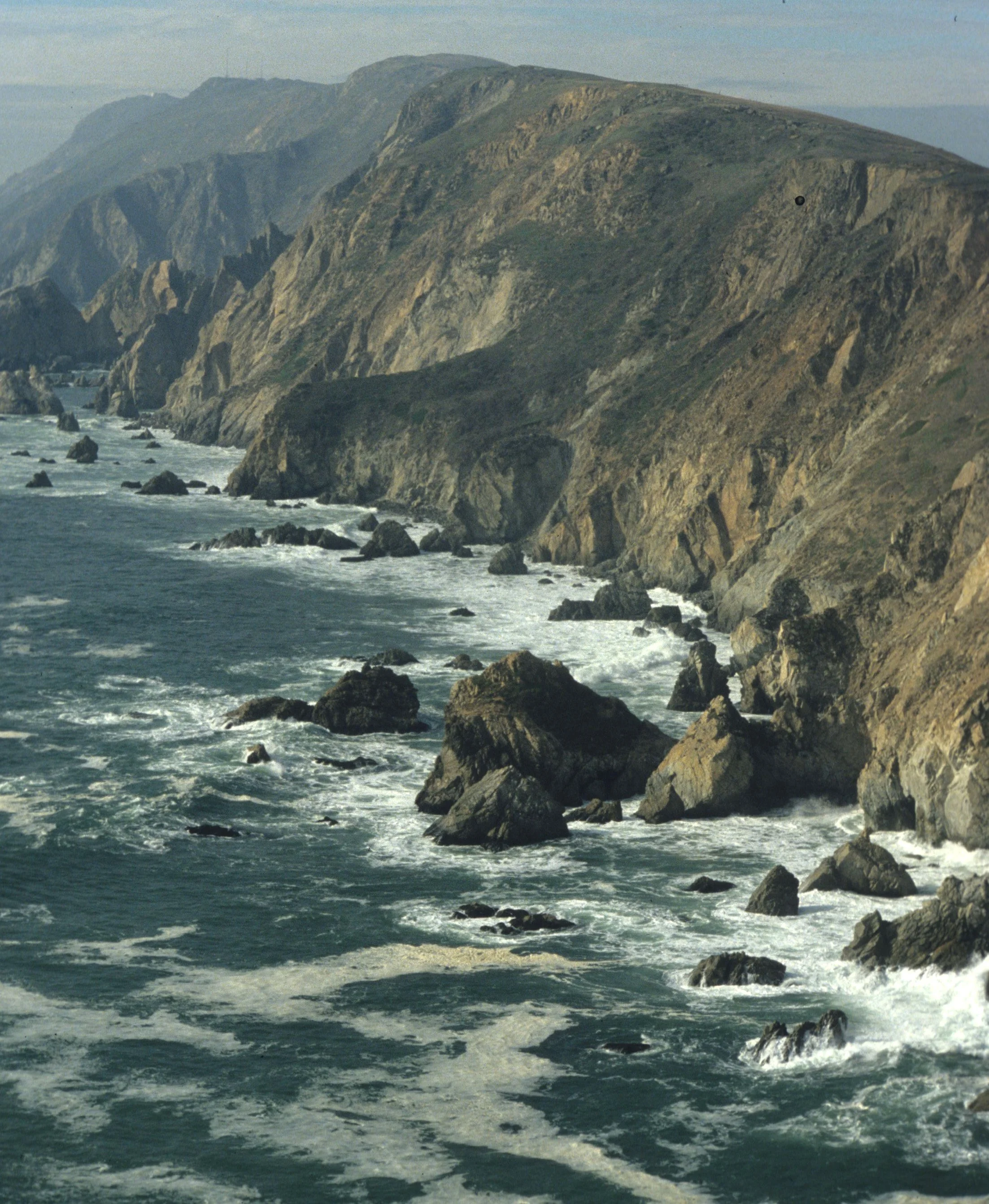 CALIFORNIA - POINT REYES - VIEW OF POINT.jpg