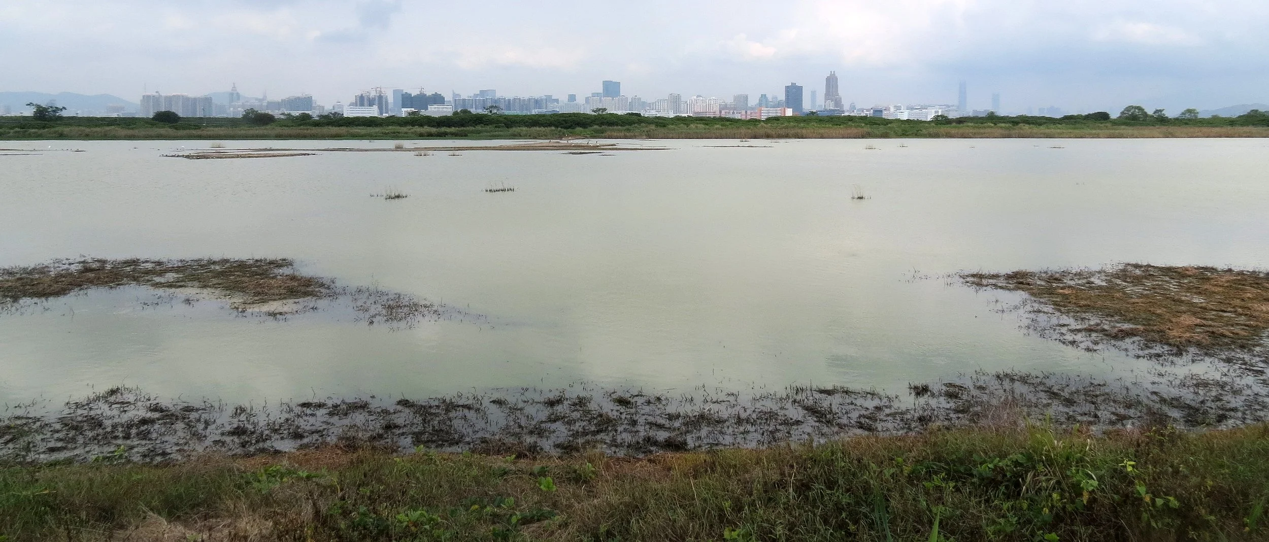 MAI PO WETLANDS HONG KONG (48).JPG