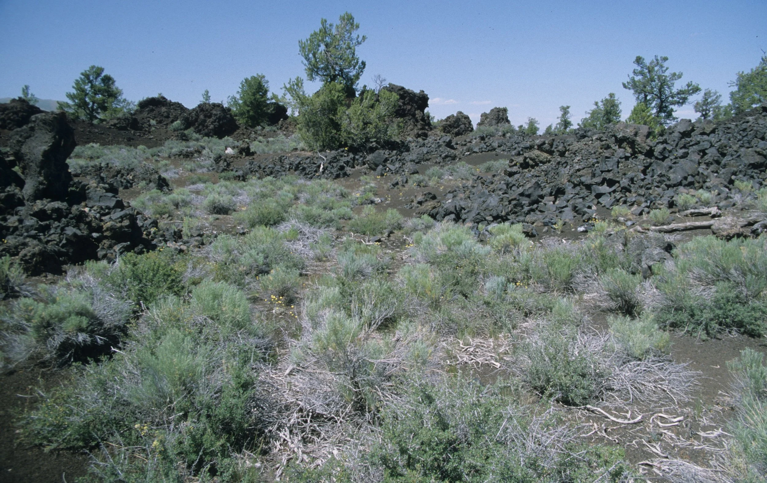 IDAHO - CRATERS OF THE MOON NM C.jpg