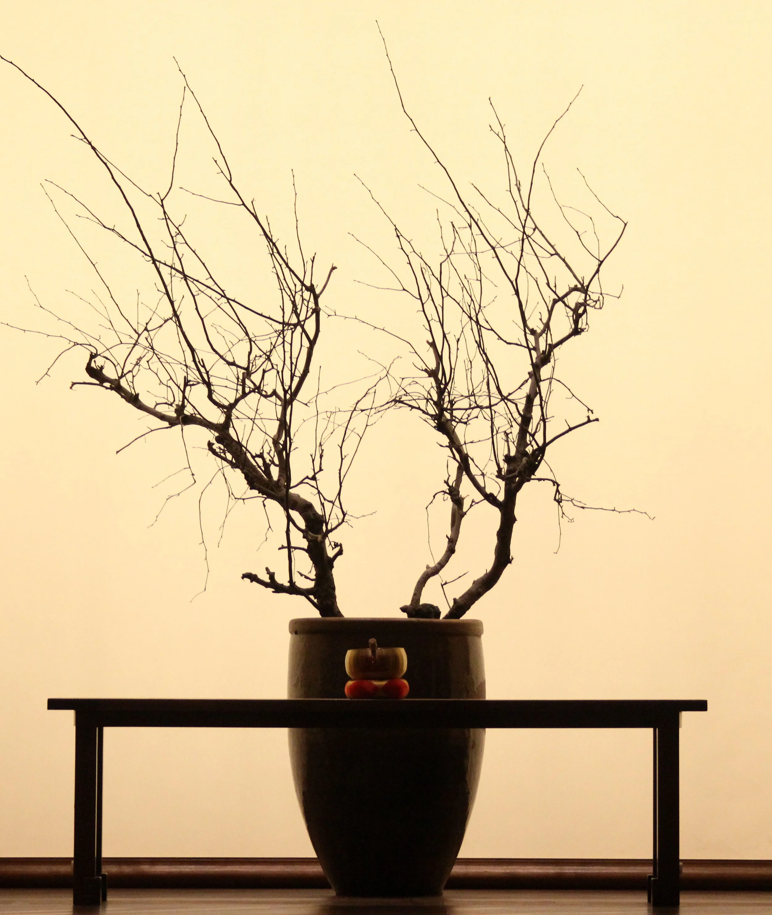 LING SHAN - WUXI CHINA (106).JPG