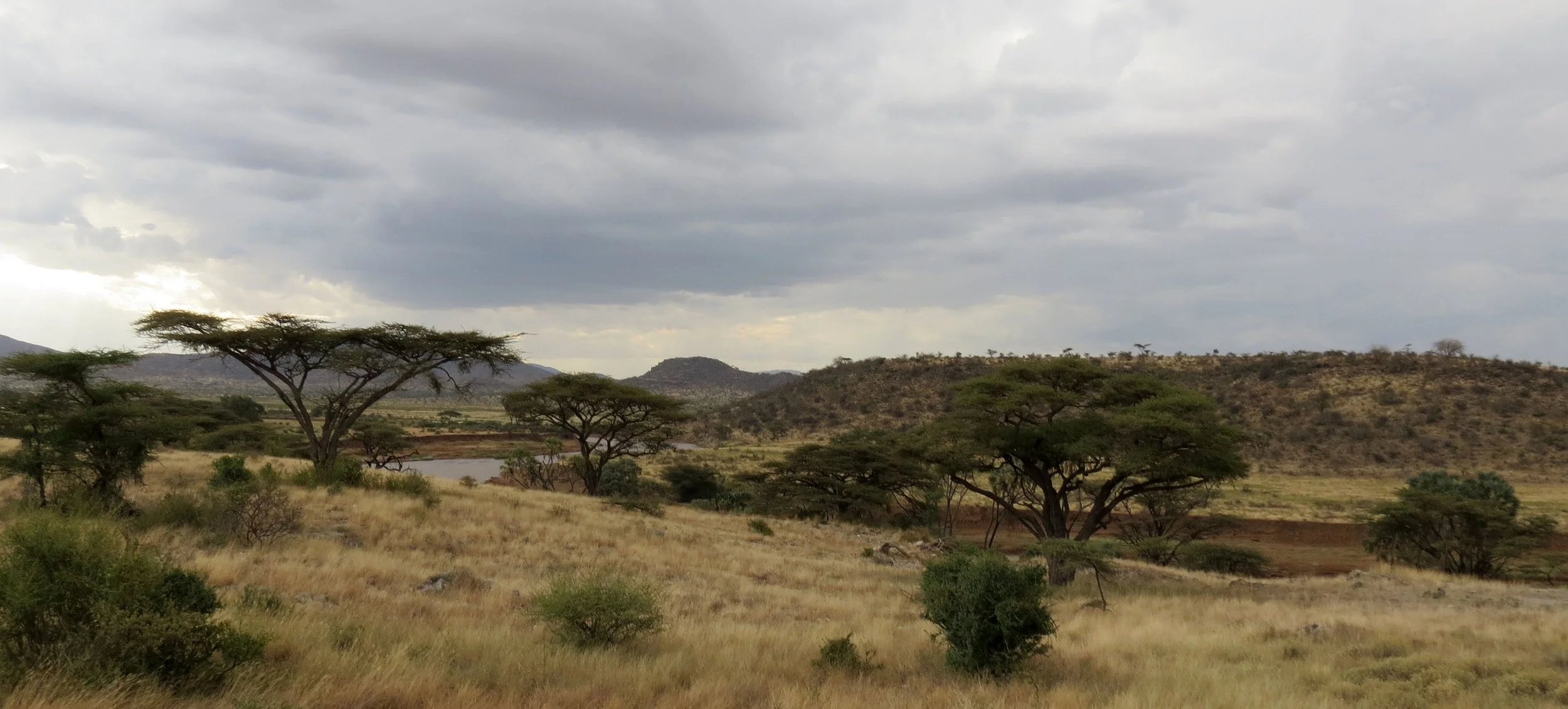 SAMBURU NATIONAL PARK KENYA (1).JPG