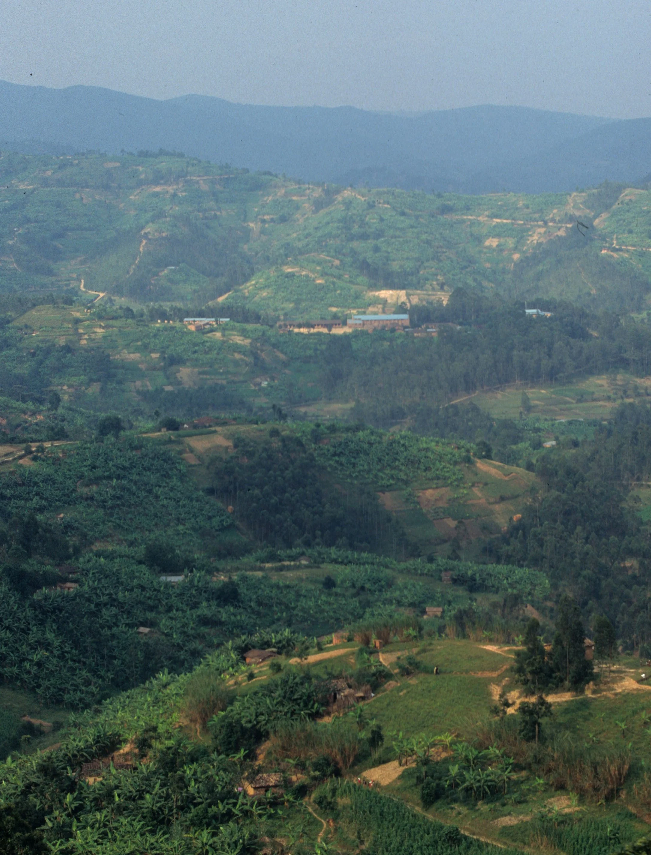 UGANDA - COUNTRYSIDE A.jpg
