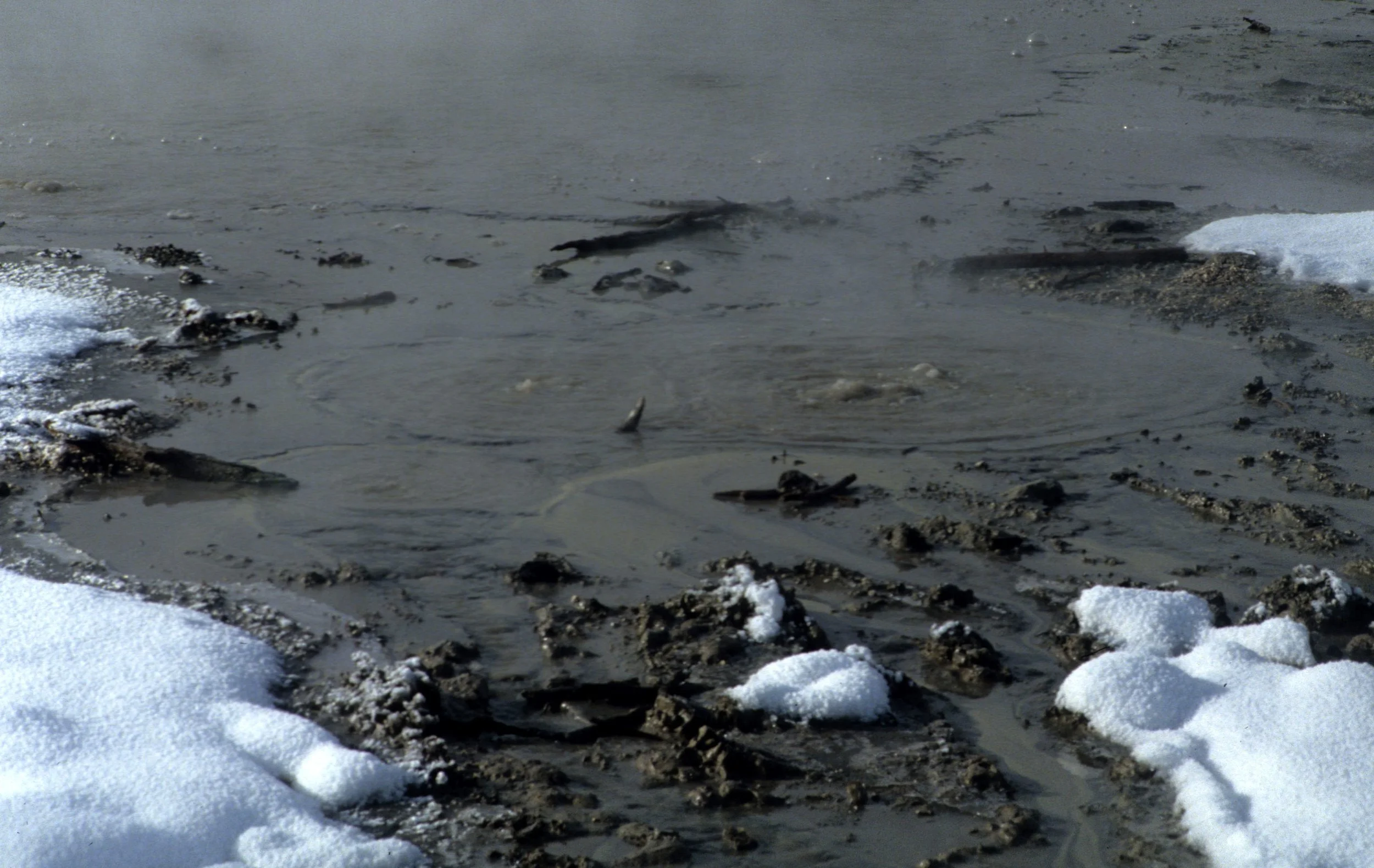 YELLOWSTONE IN WINTER - MUDPOTS.jpg