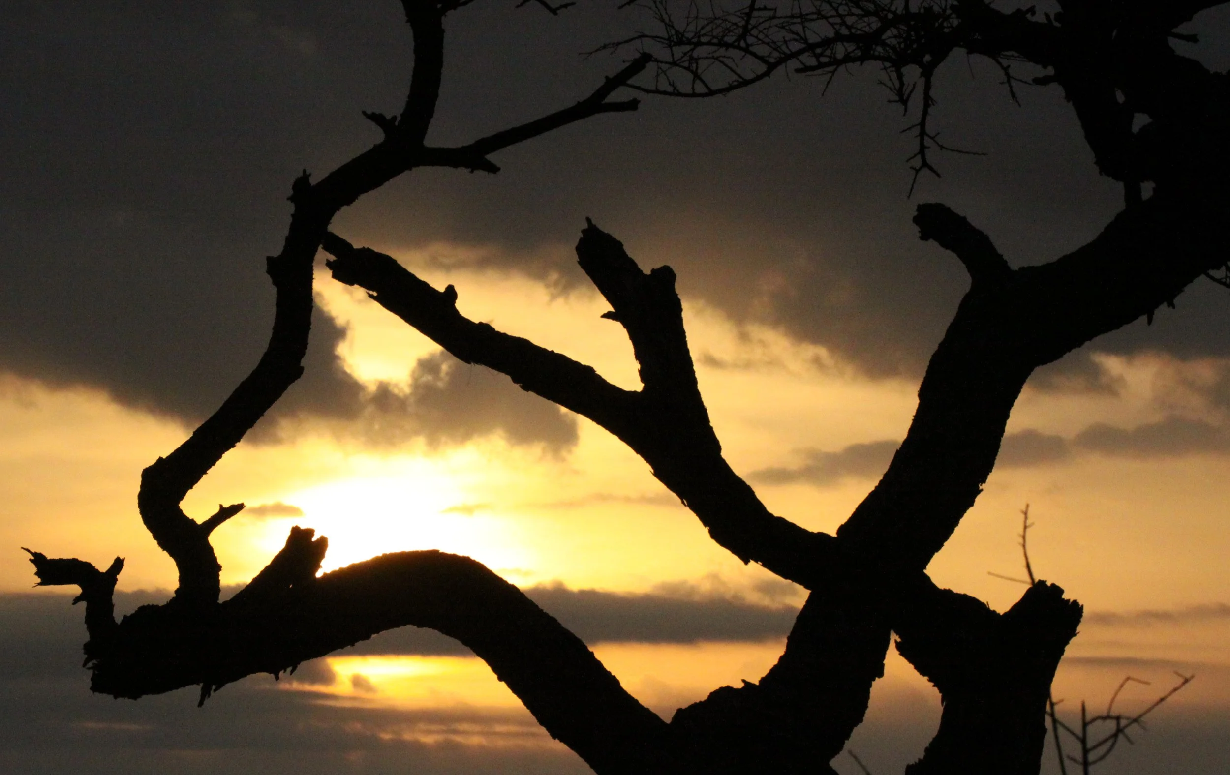 LANGANO LAKE ETHIOPIA (24).JPG