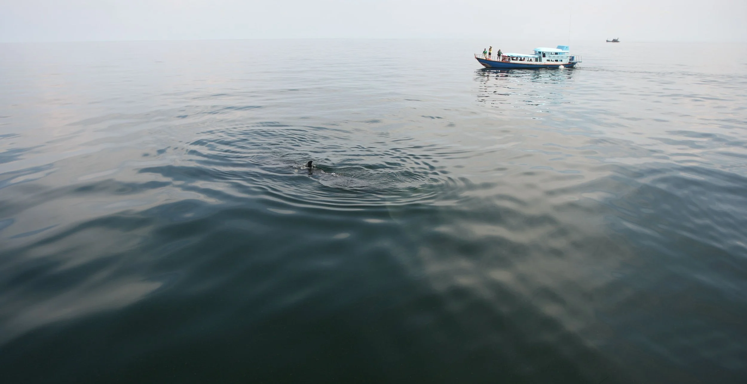 2014 Amphawa Trip to See Whales from Baan Taboon (55).JPG
