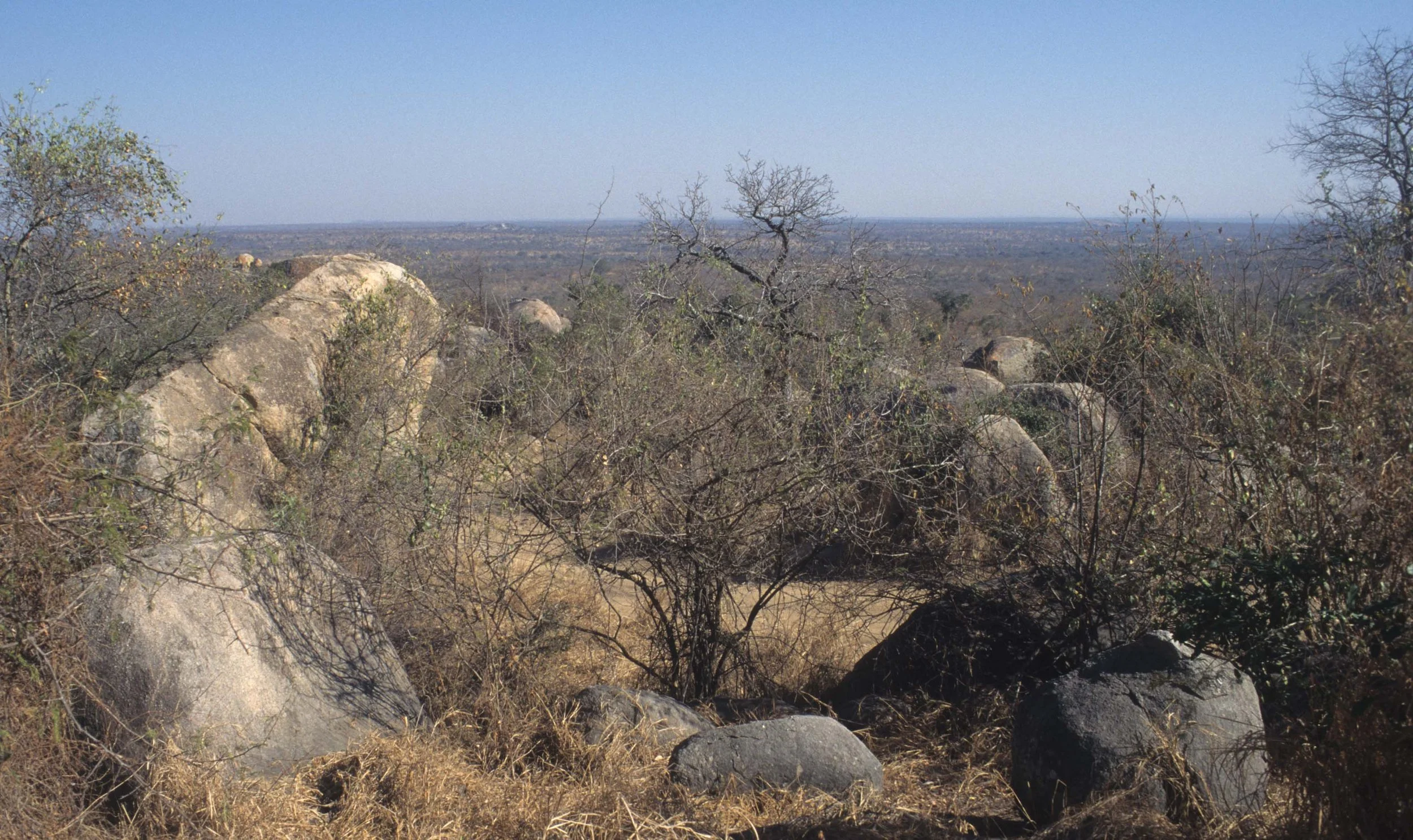 KRUGER - BUSHVELDT A.jpg