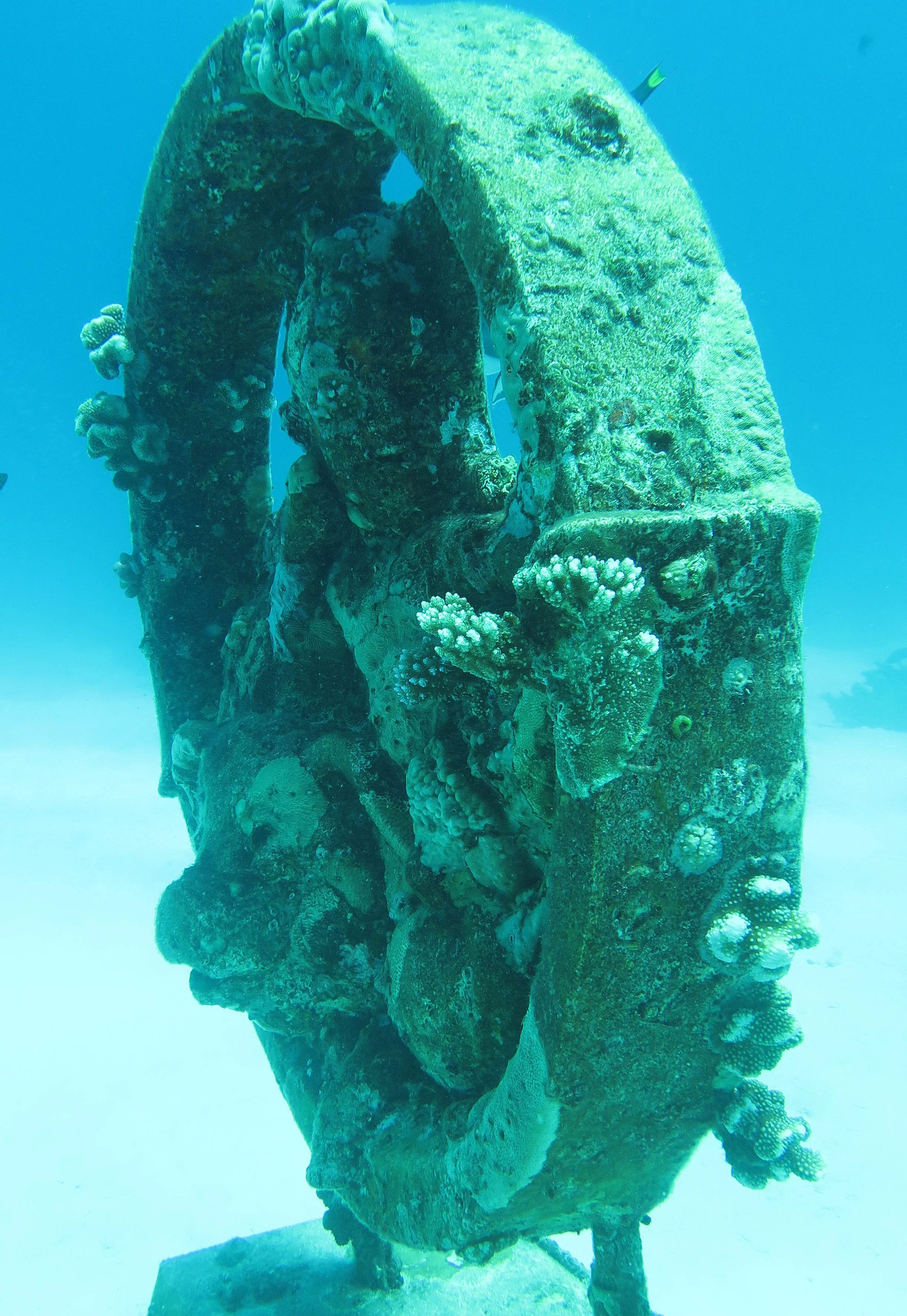 2014 Similan Islands Marine Park Thailand ISB Dive Trip (87).JPG