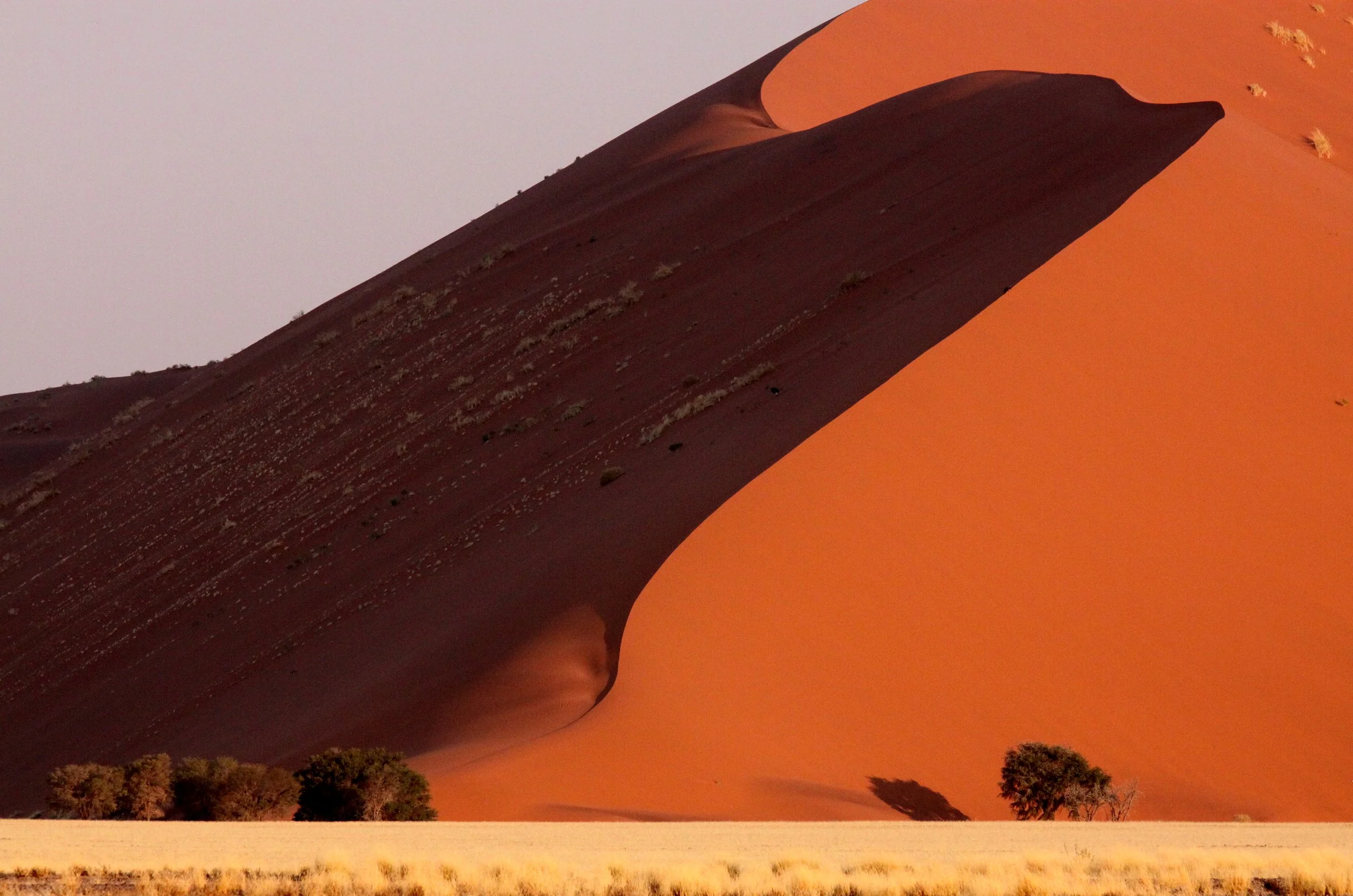 SOSSUSVLEI, NAMIB NAUKLUFT NATIONAL PARK, NAMIBIA (32).JPG