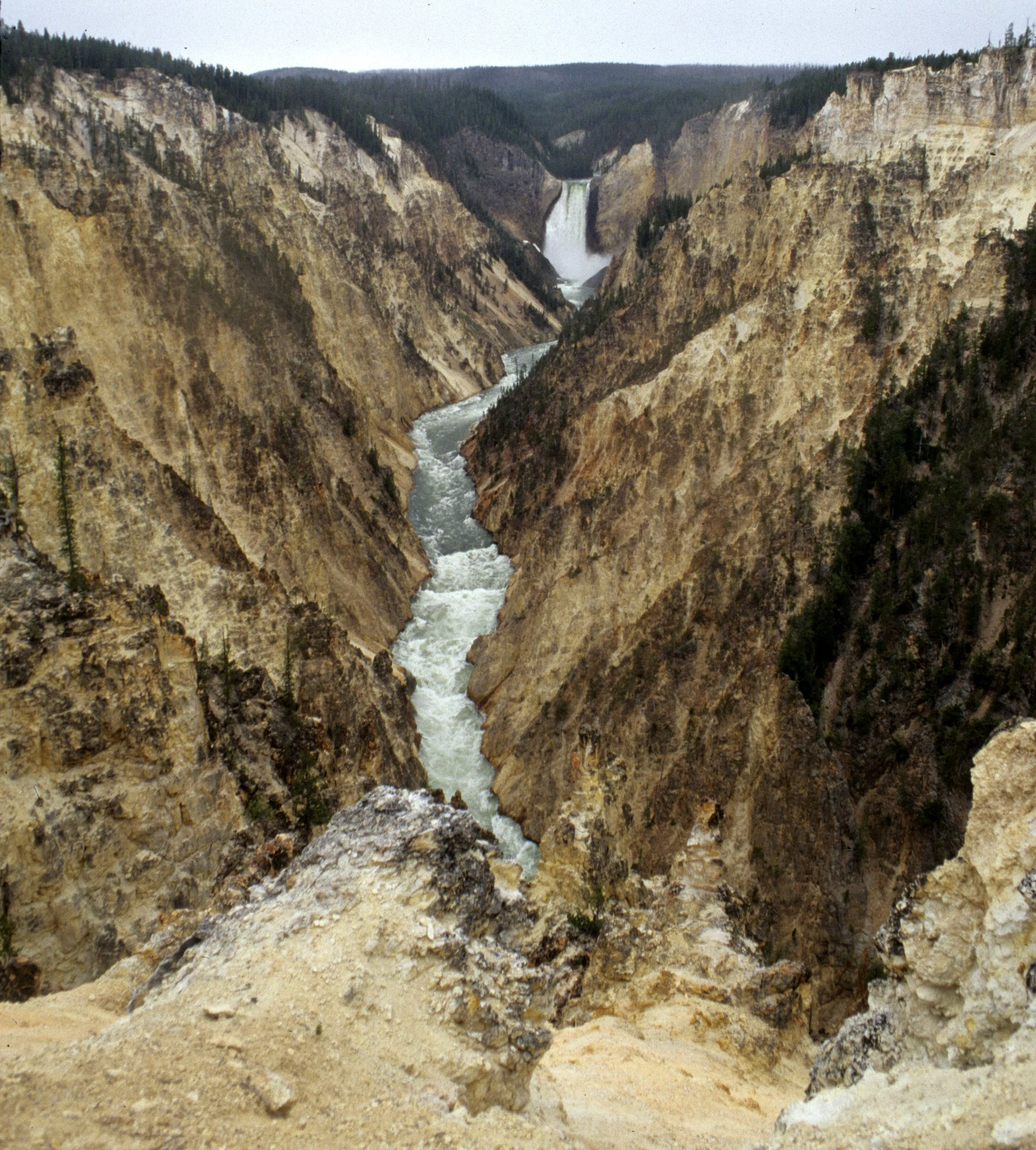 YELLOWSTONE - CANYON VIEW L.jpg