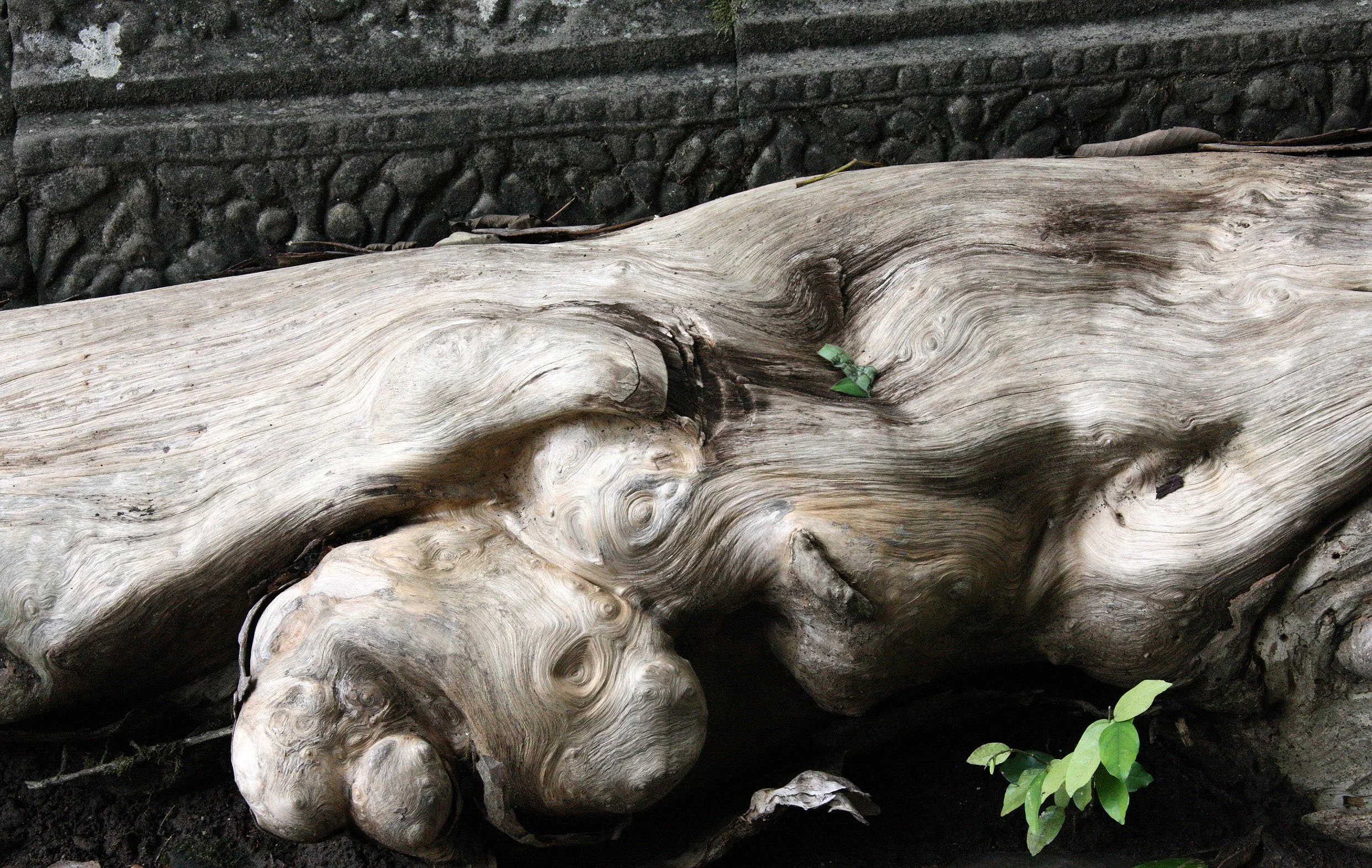 BENG MEALEA - CAMBODIA - JULY 2010 (20).JPG