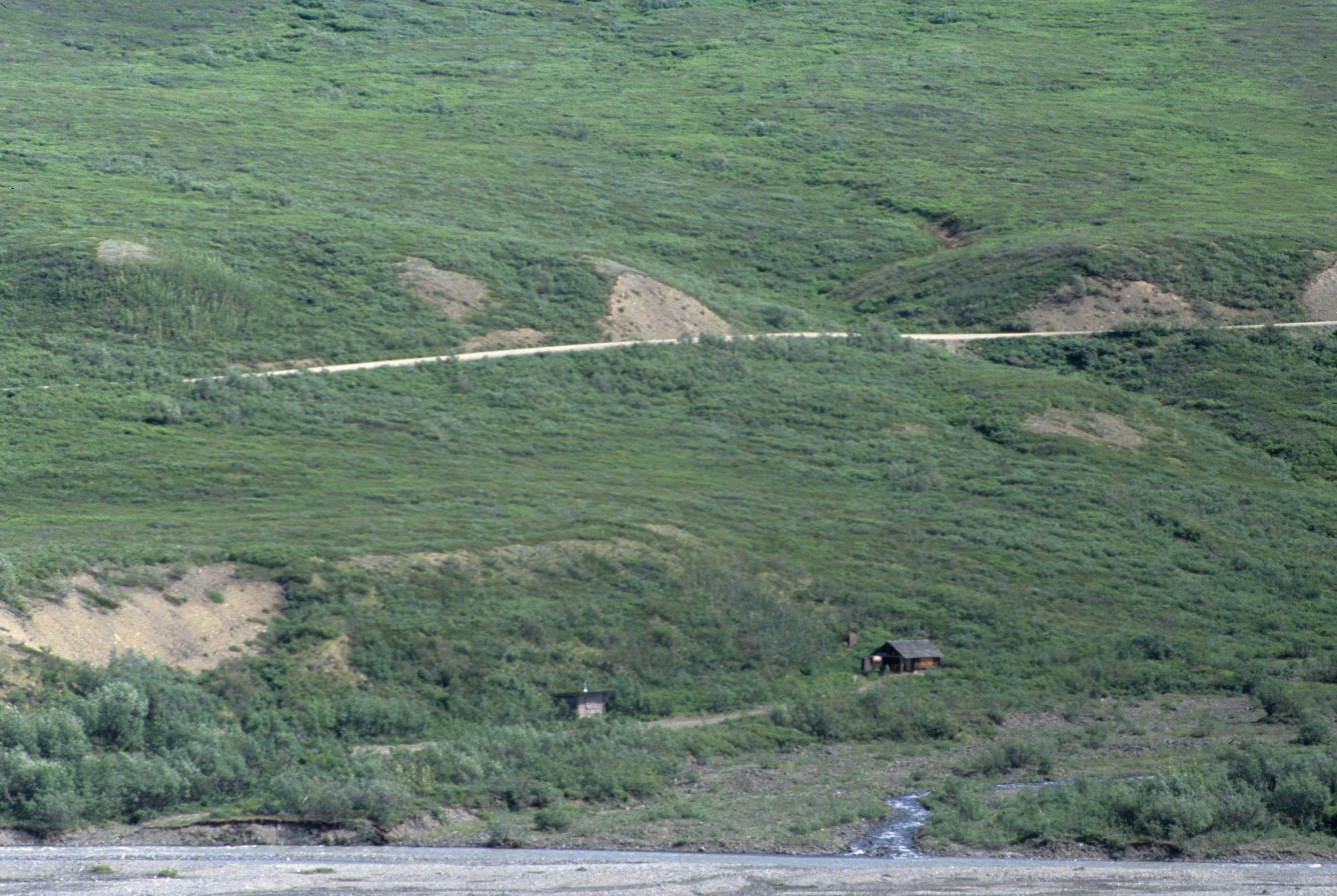 ALASKA - DENALI - ADOLF MURIES CABIN.jpg