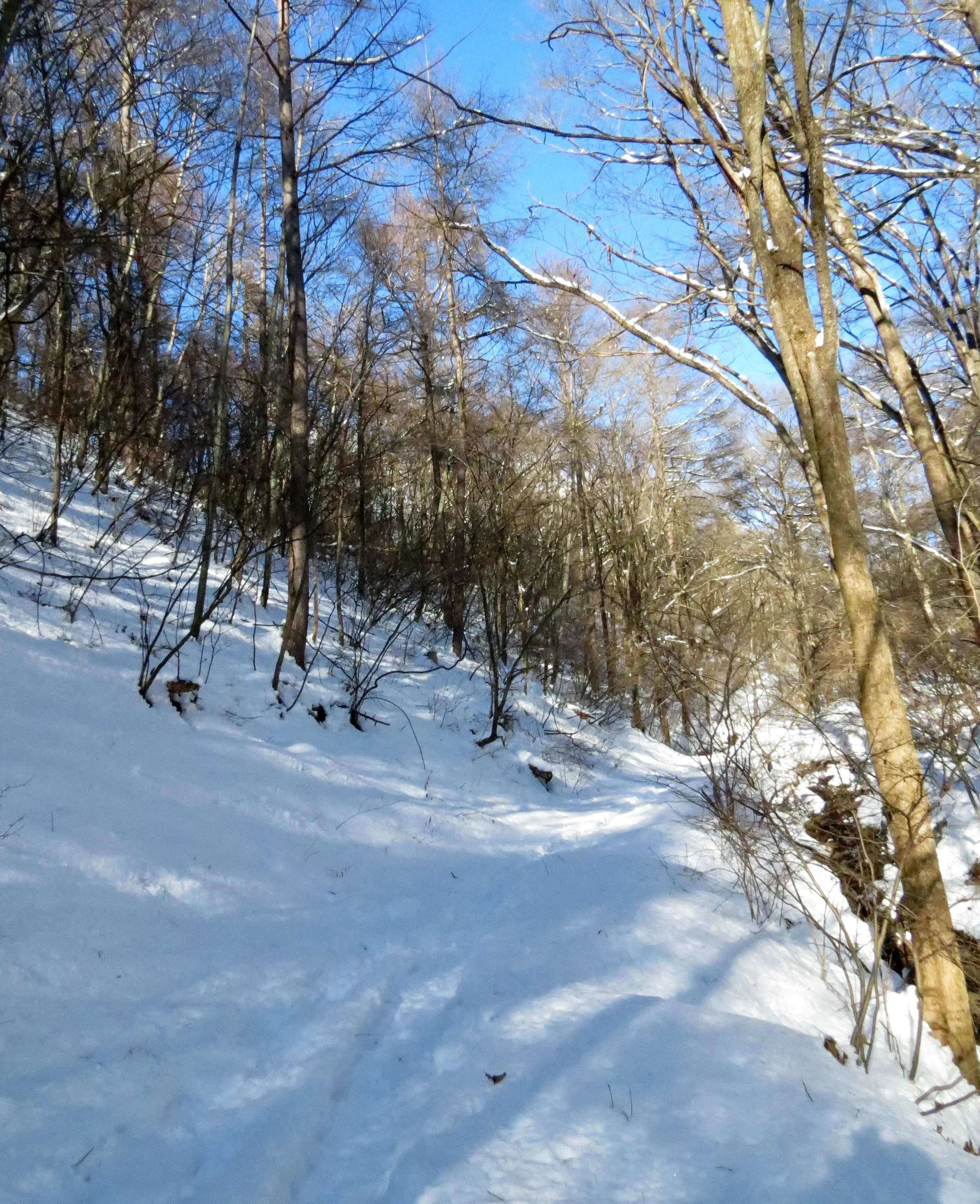 KARUIZAWA - PICCHIO TREK AND TALK (2).JPG