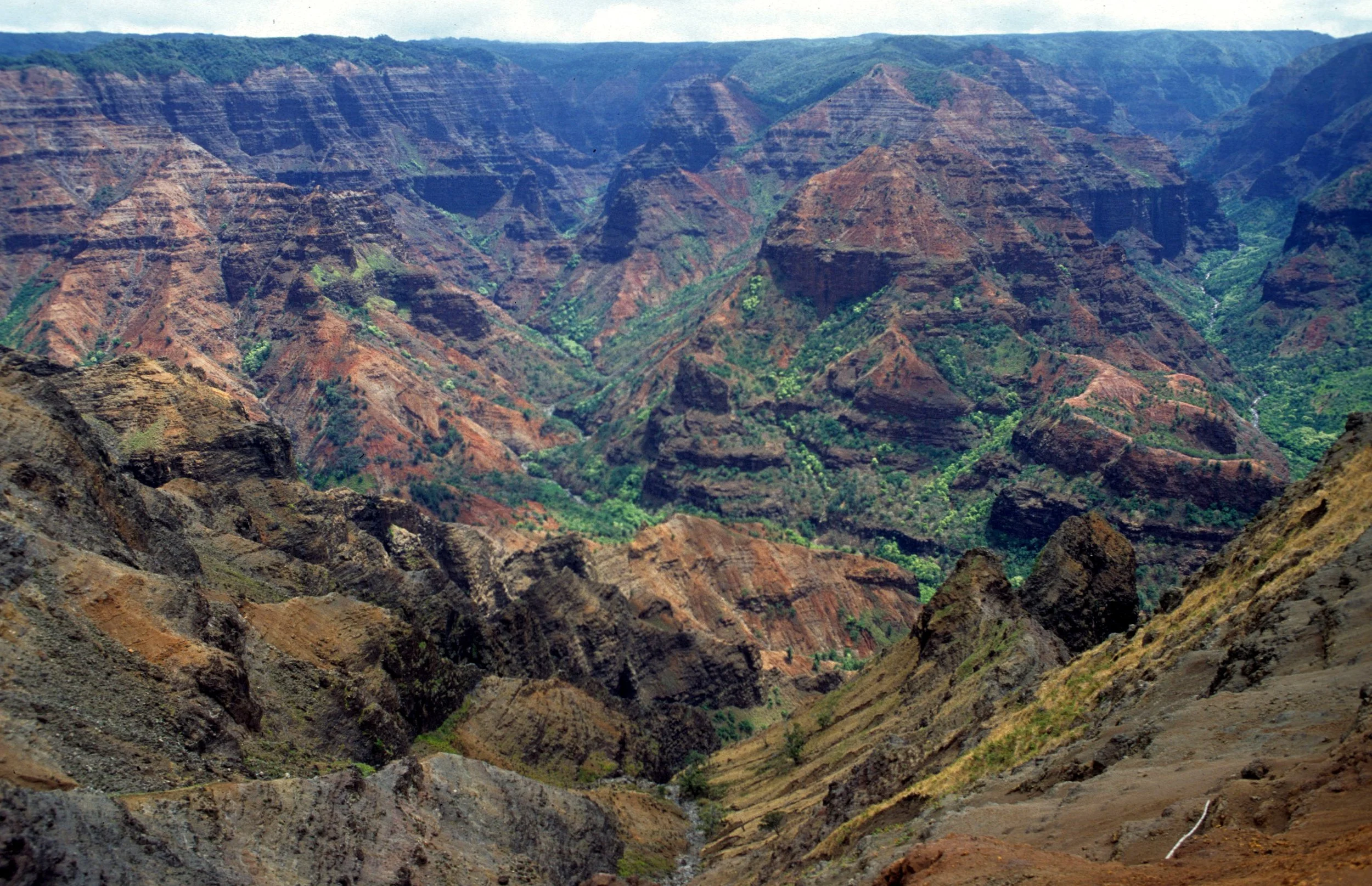 HAWAII - KAUAI - WAIMEA CANYON OVERLOOK (3).jpg