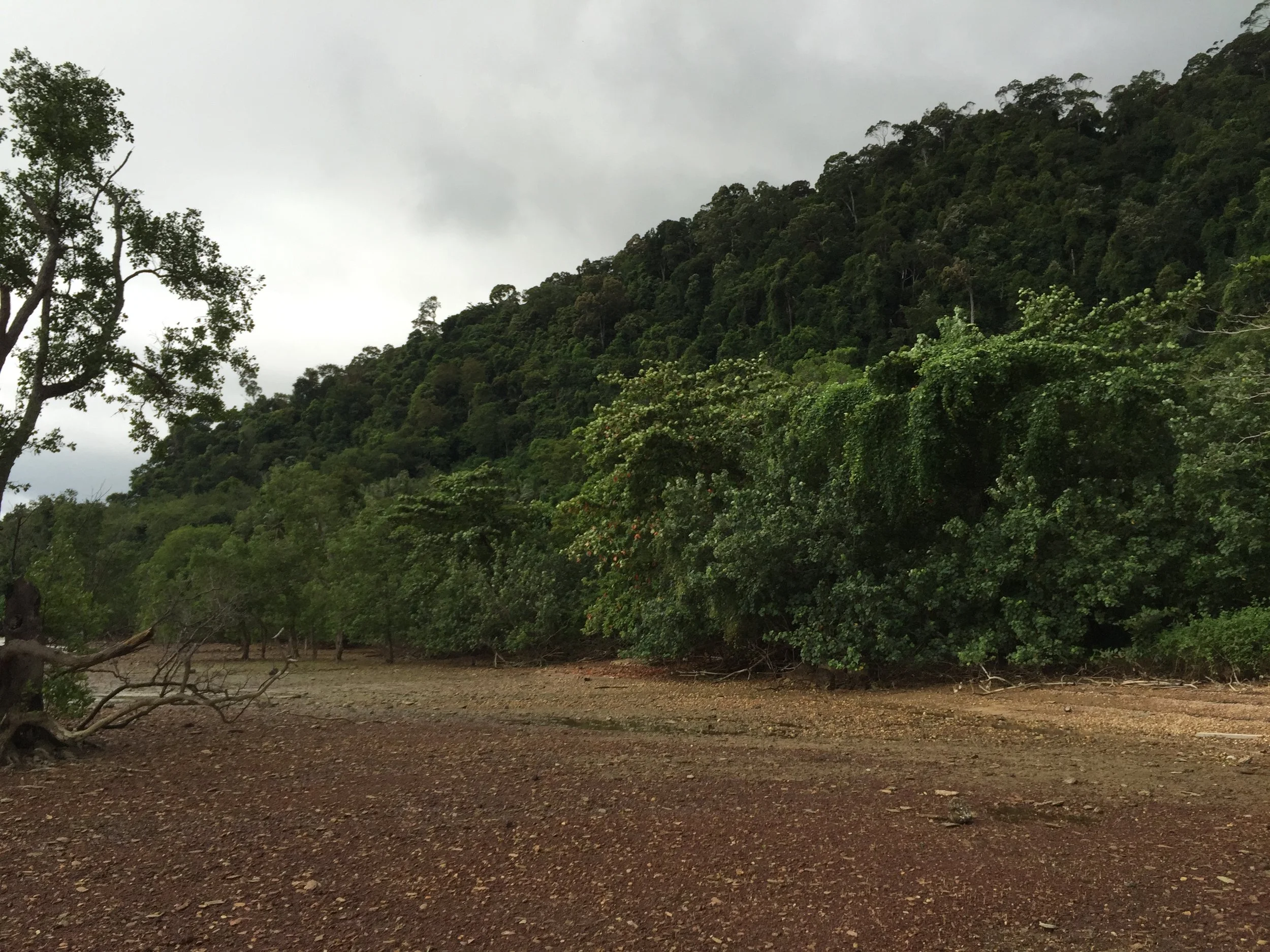 2015 Koh Lanta Garden & Nature (231).JPG