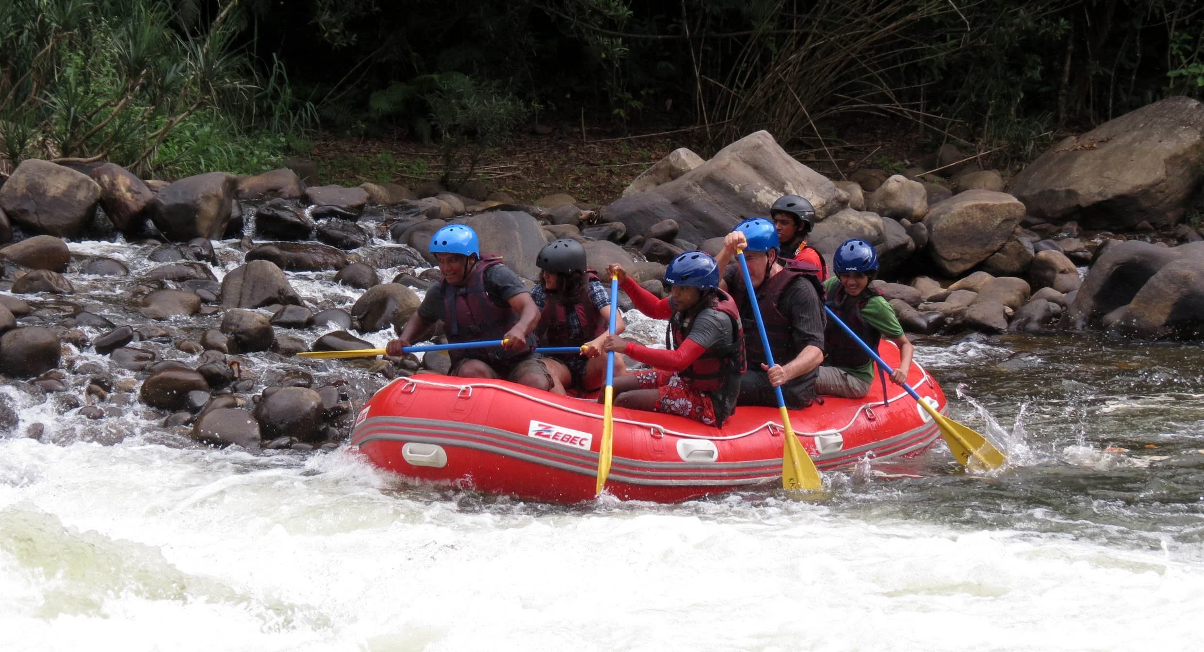 KITULGALA FOREST PRESERVE SRI LANKA (64).JPG