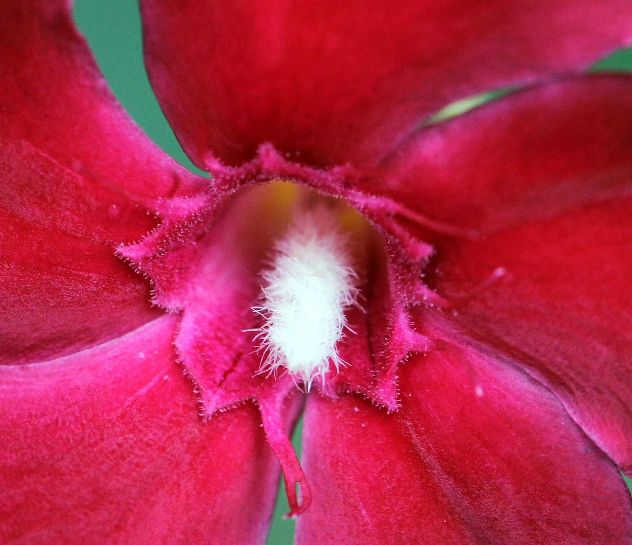 2013 Cha'am and Petchaburi with Family & Friends (24).JPG