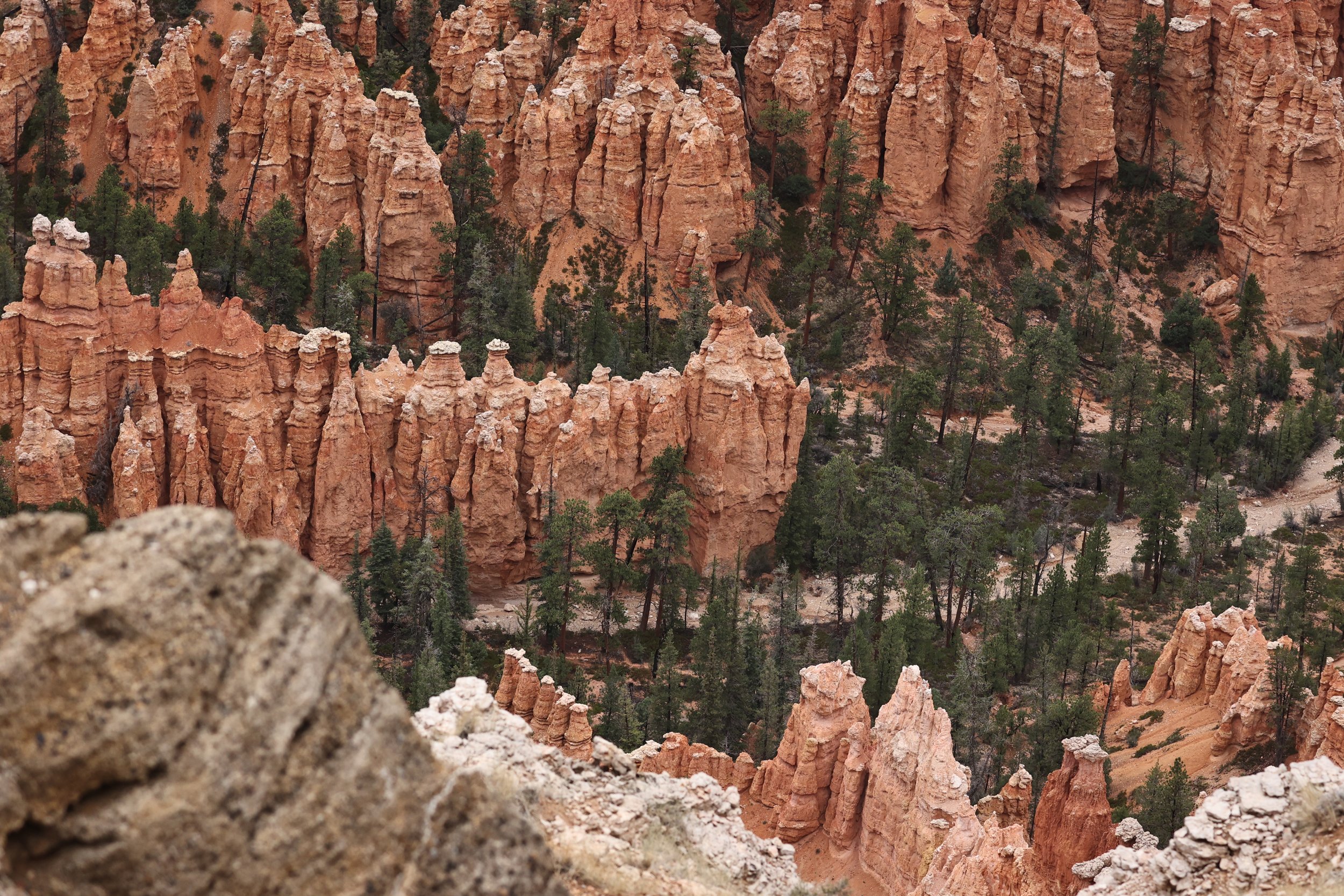 BRYCE CANYON UTAH 2022 (84).JPG