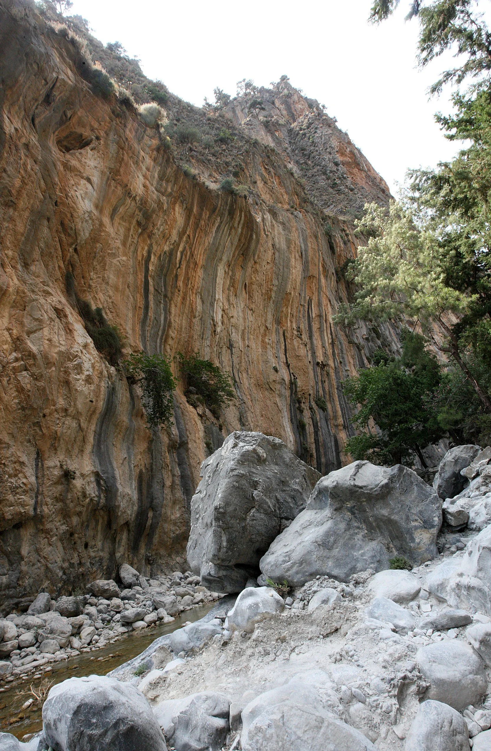 SAMARIA GORGE NATIONAL PARK CRETE (100).JPG