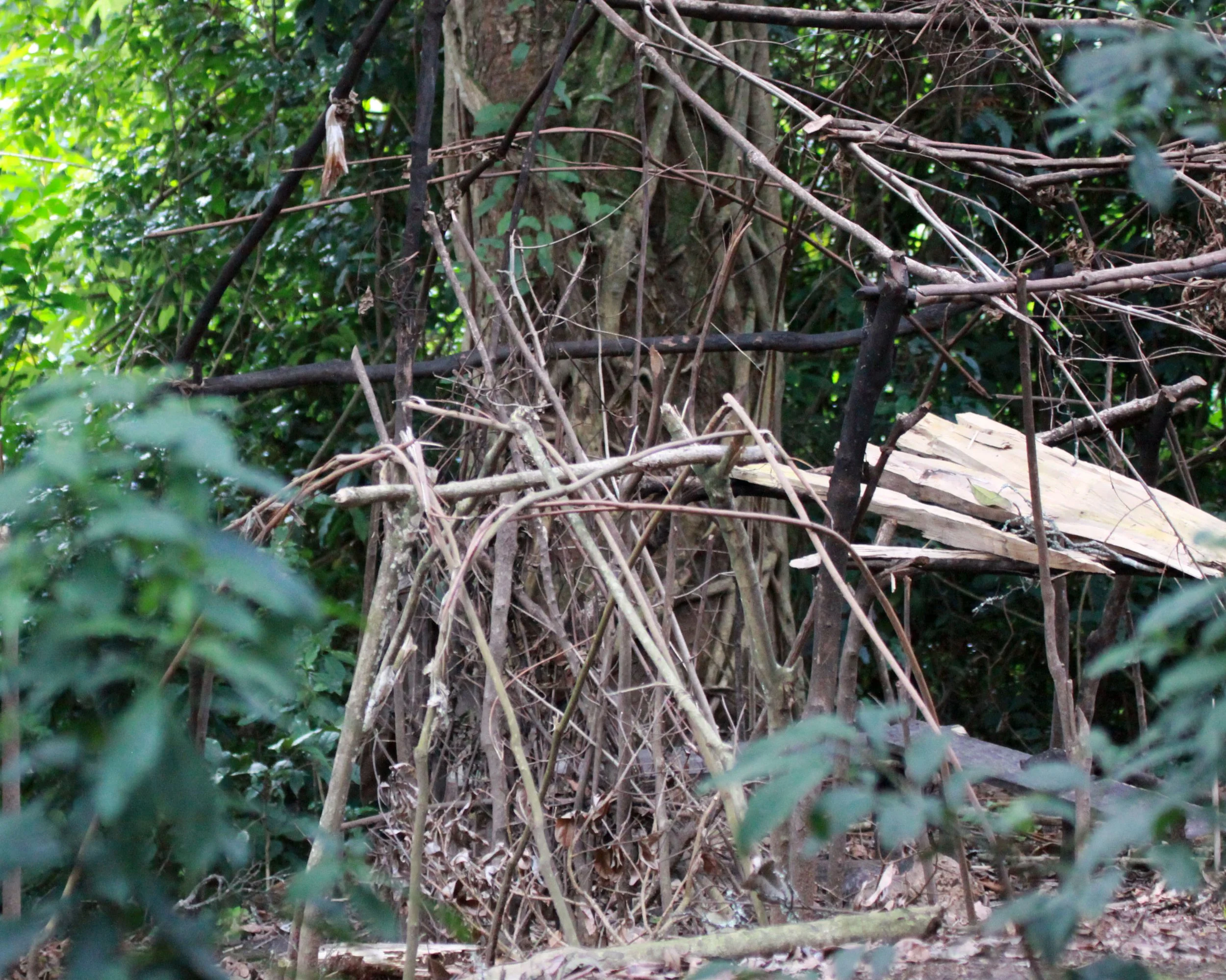 NYUNGWE NATIONAL PARK RWANDA (531).JPG