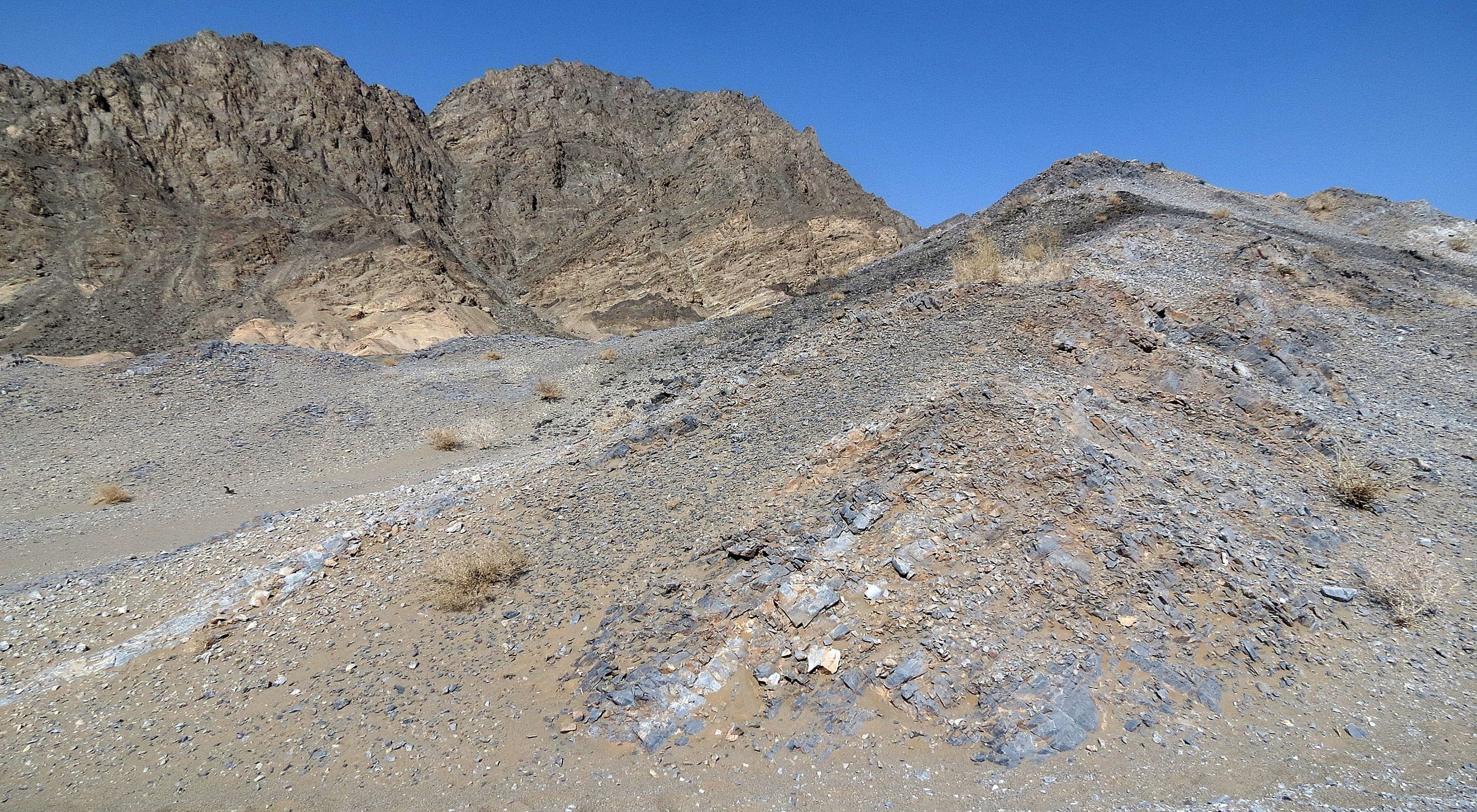 LOP NUR WILD BACTRIAN CAMEL RESERVE - XINJIANG CHINA (48).JPG