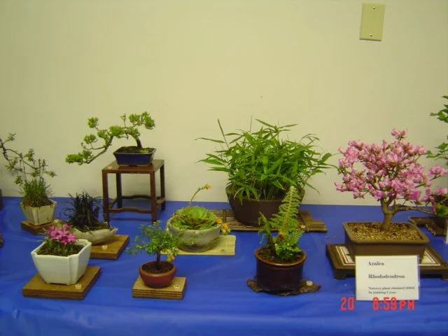 2006-5-20 DAY TRIP TO SEATTLE WITH POM AND FAMILY TO SEE BONSAI AND JAPANESE GARDENS ETC (32).jpg
