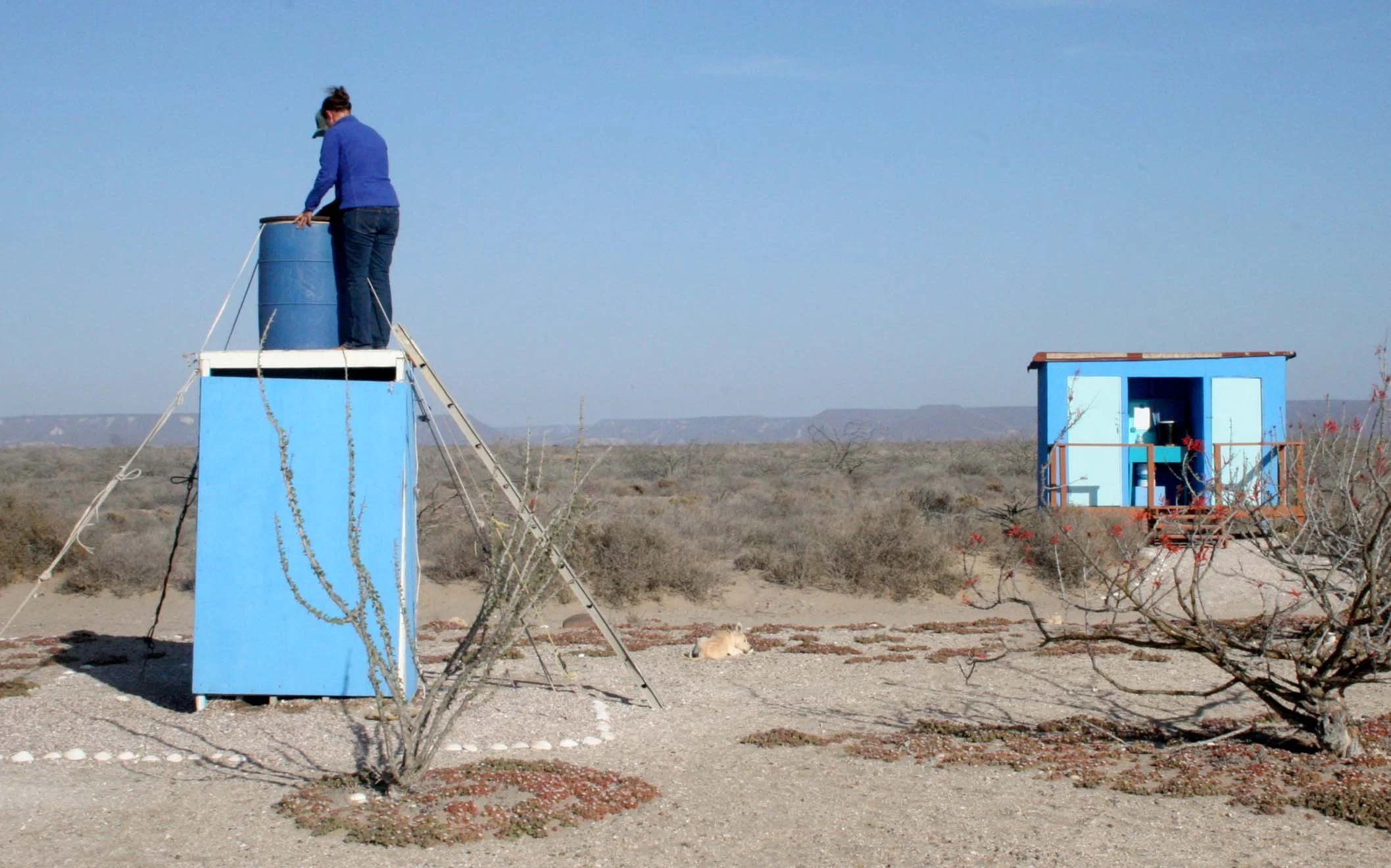 SAN IGNACIO LAGOON BAJA MEXICO - PACHICOS CAMP.JPG