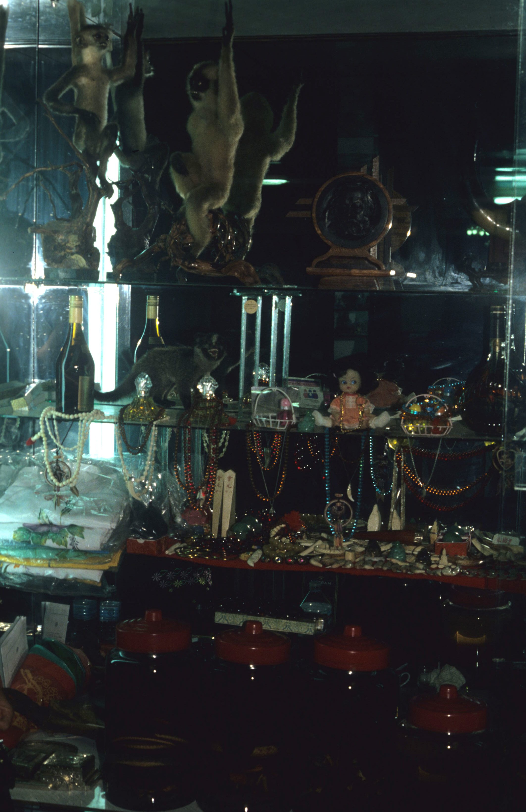 DALAT - POACHERS HUT - 1994 (5).jpg