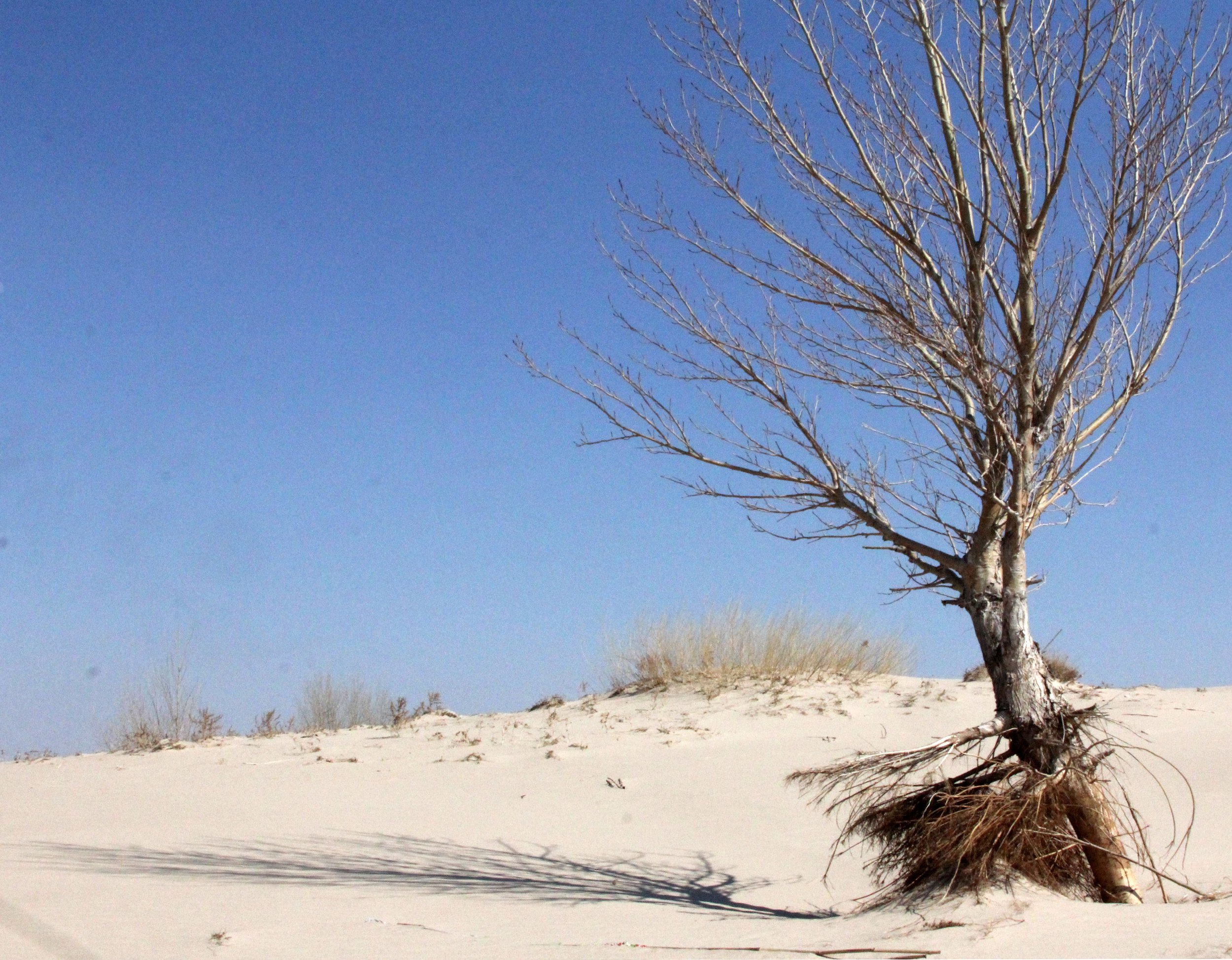 INNER MONGOLIA 2013 (835).JPG