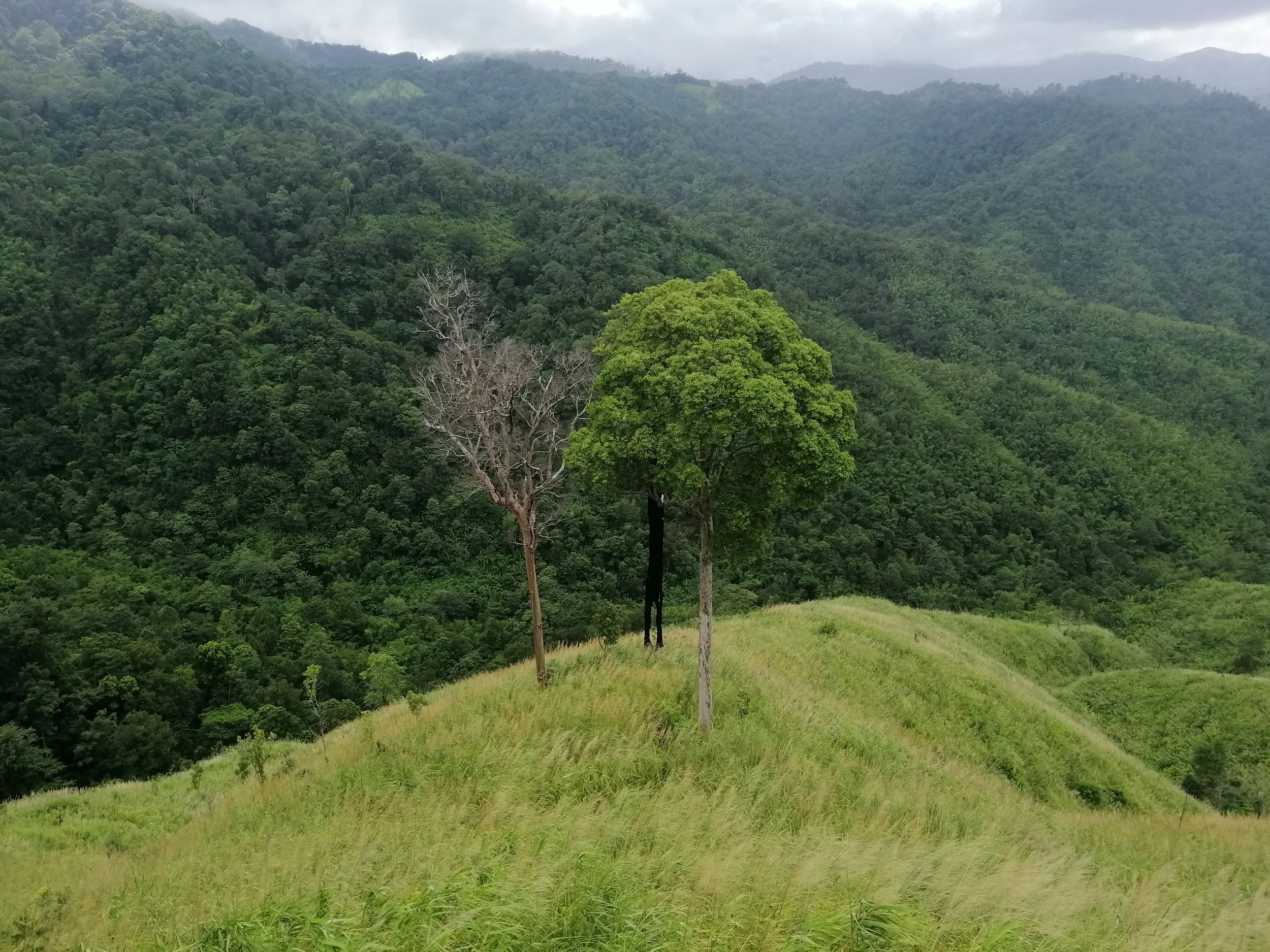 2021 Chong Yen and Surrounding Countryside (38).jpg