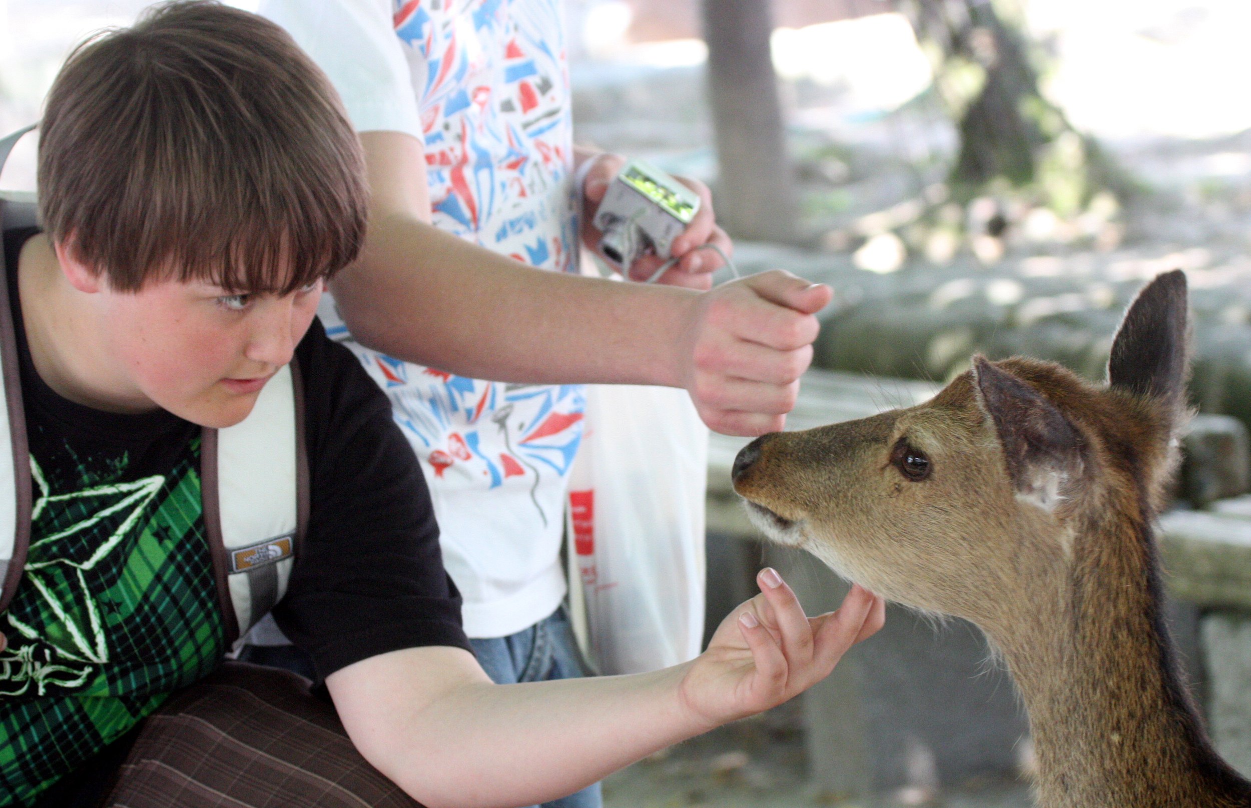 MIYAJIMA - MAY 2009 - SCENES AND LANDSCAPES (56).JPG