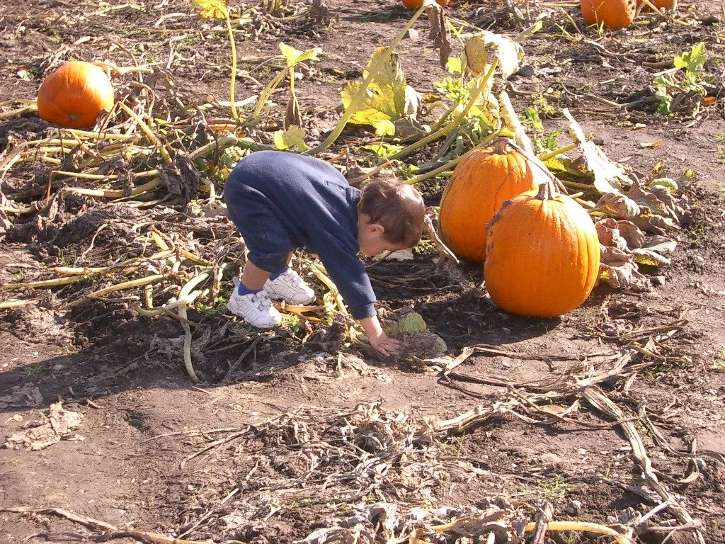 2003-10-26 PUMPKIN PATCH PORT ANGELES (21).JPG