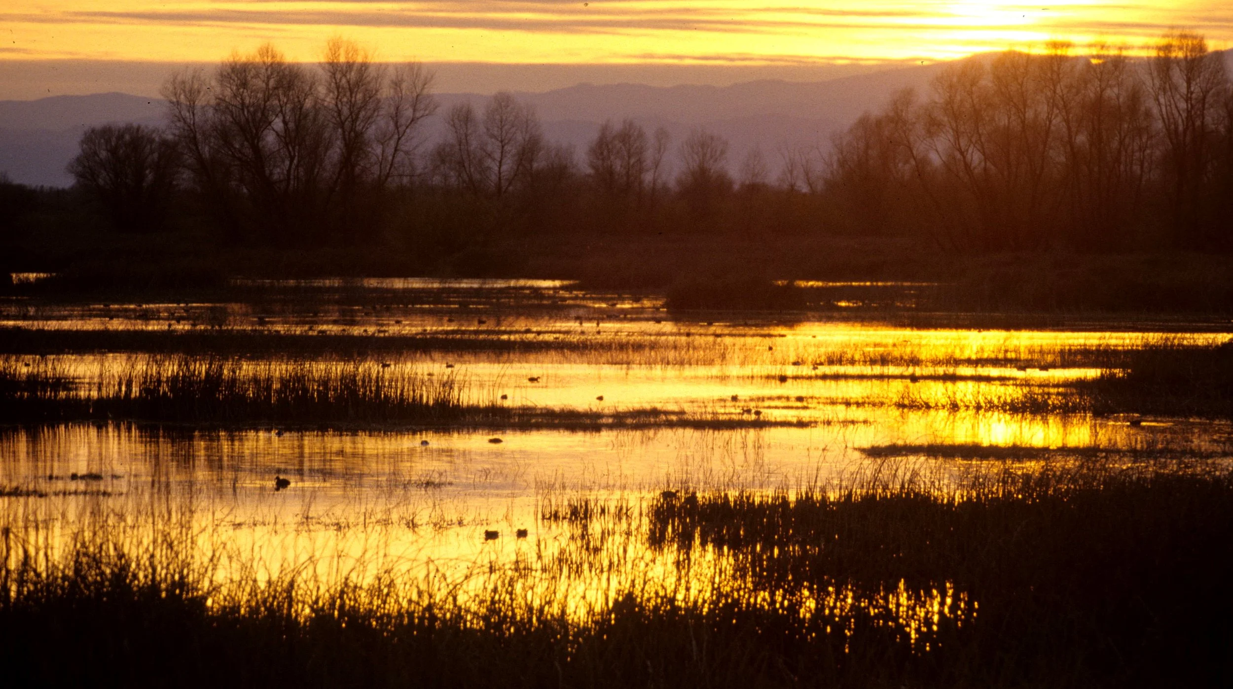 CALIFORNIA - KLAMMATH BASIN SUNSET G.jpg