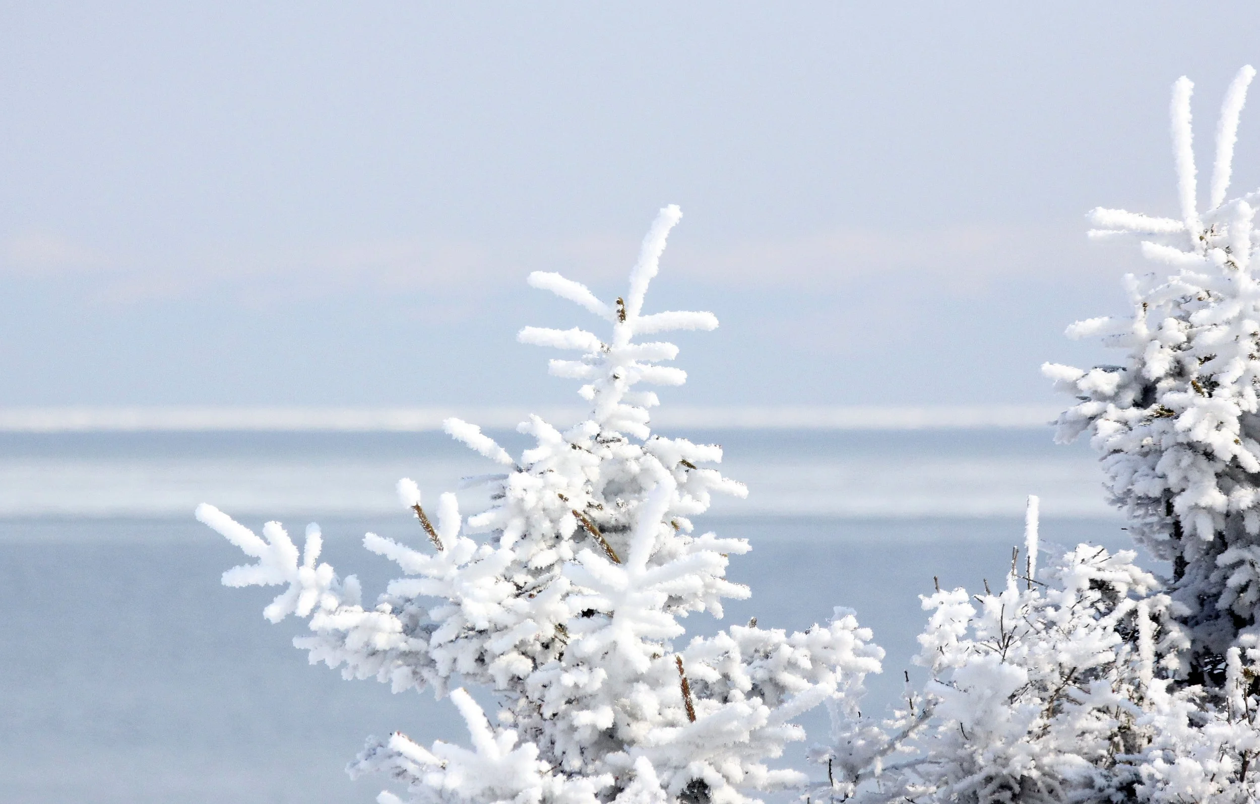 NOTSUKE PENINSULA - HOKKAIDO JAPAN (9).JPG