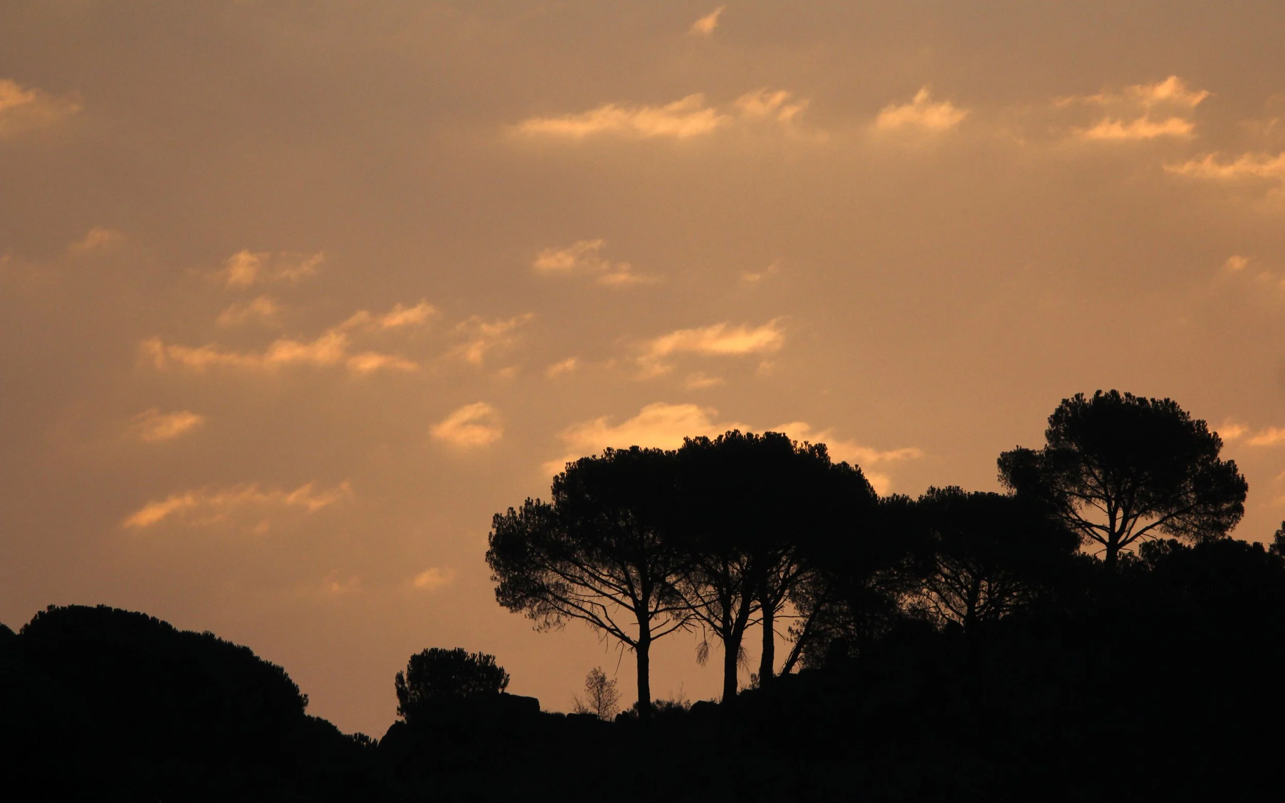 SIERRA DE ANDUJAR SPAIN (10).JPG