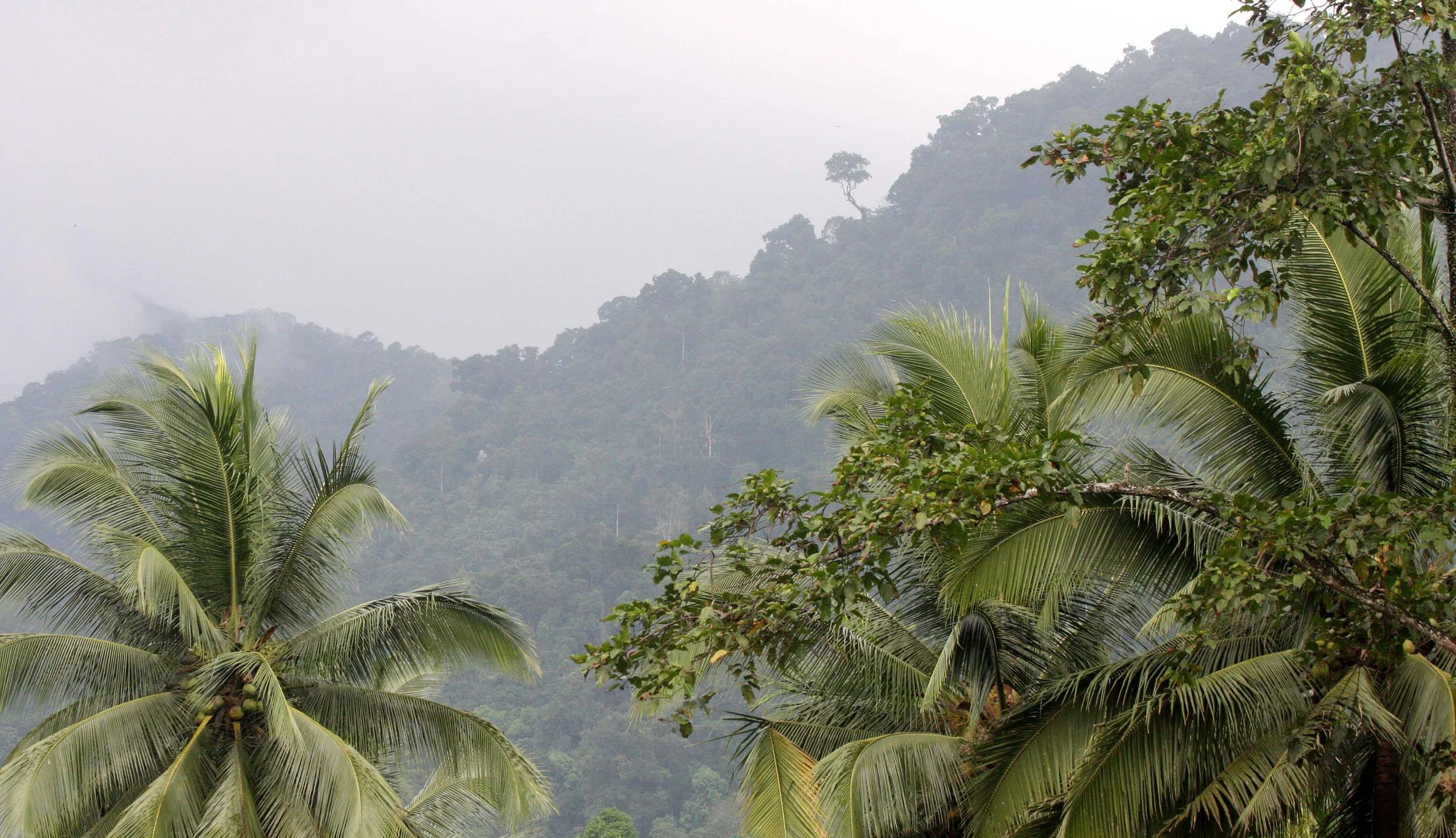 2009 Promluk Property Views (10).JPG