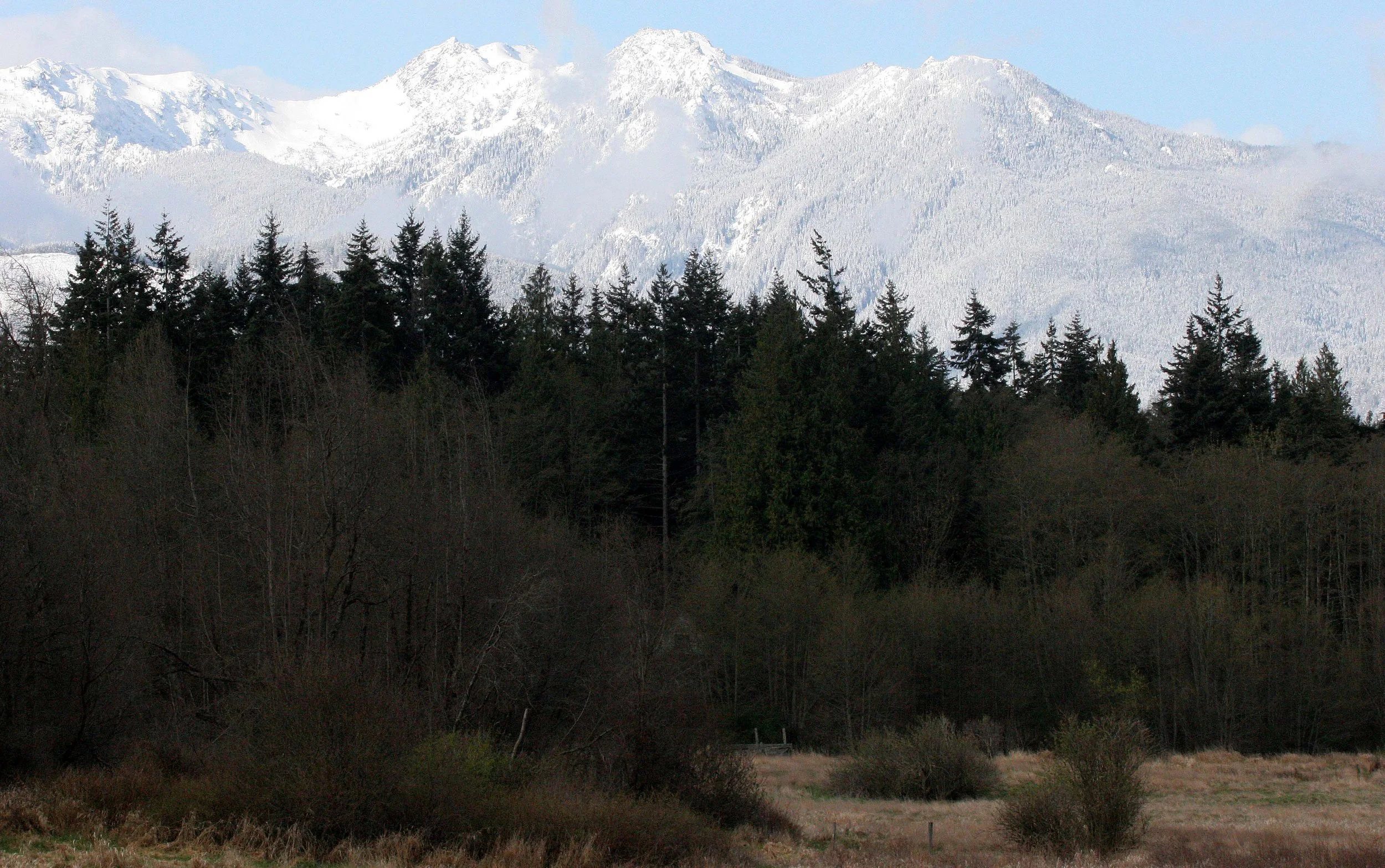 KLAHANE RIDGE FROM LAKE FARM  (9).JPG